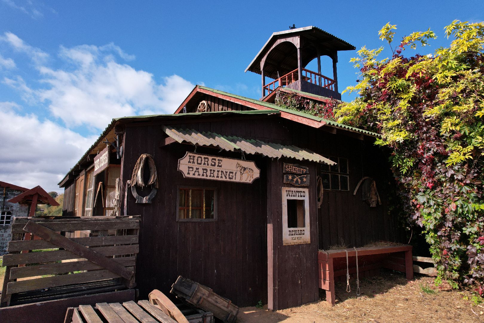 ранчо, туризм, можайск, кони,видео с коптера,