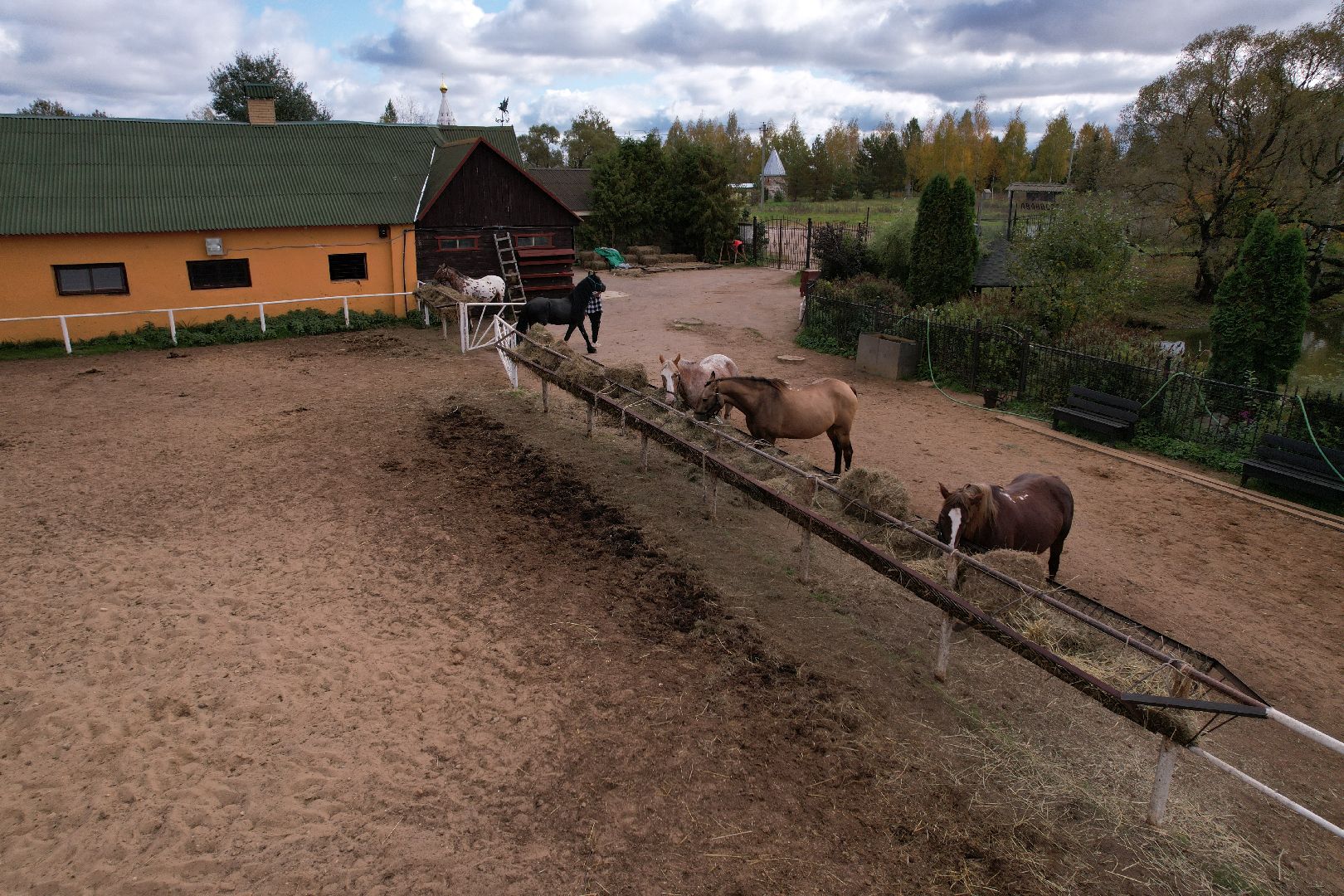 ранчо, туризм, можайск, кони,видео с коптера,