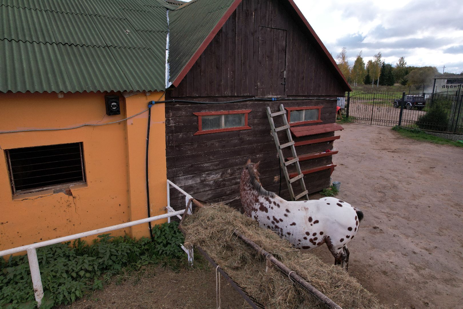 ранчо, туризм, можайск, кони,видео с коптера,