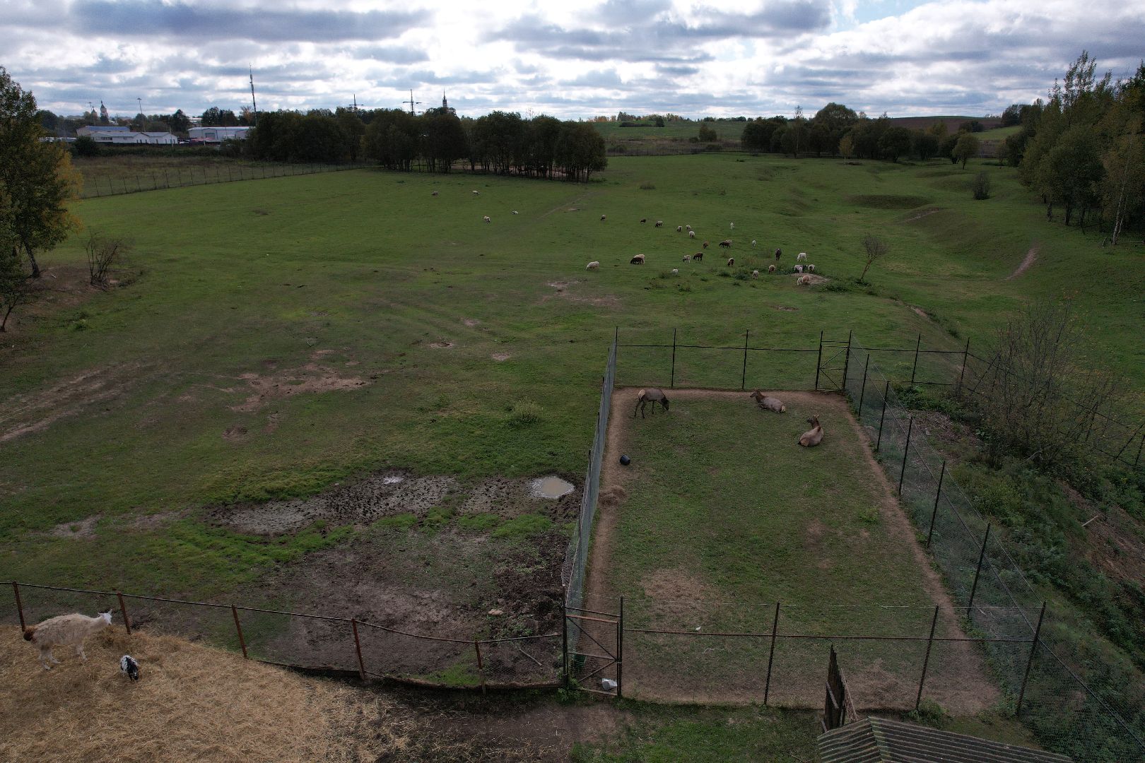 ранчо, туризм, можайск, кони,видео с коптера,