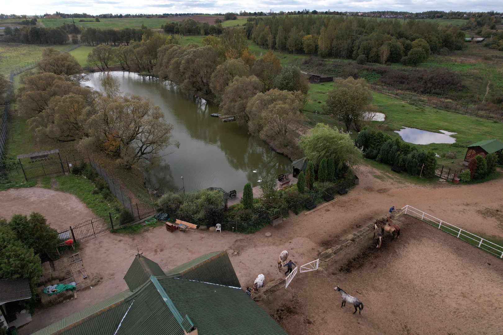 ранчо, туризм, можайск, кони,видео с коптера,
