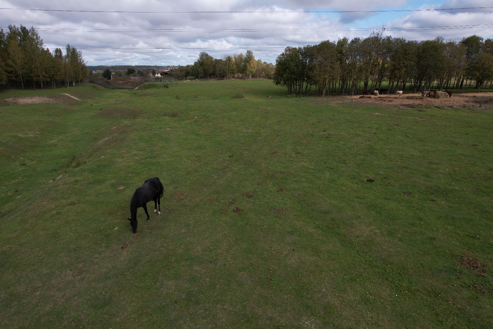 ранчо, туризм, можайск, кони,видео с коптера,