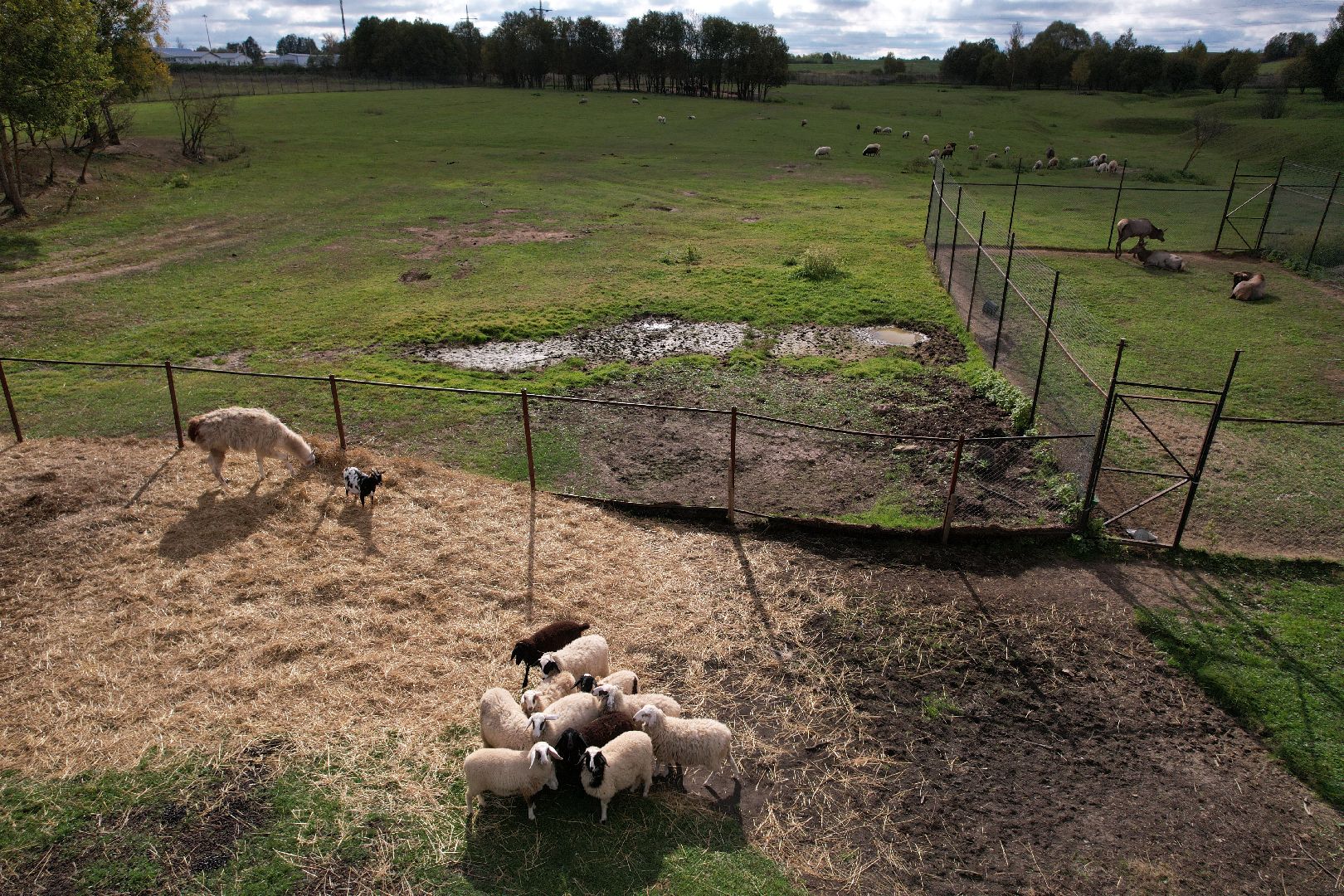 ранчо, туризм, можайск, кони,видео с коптера,