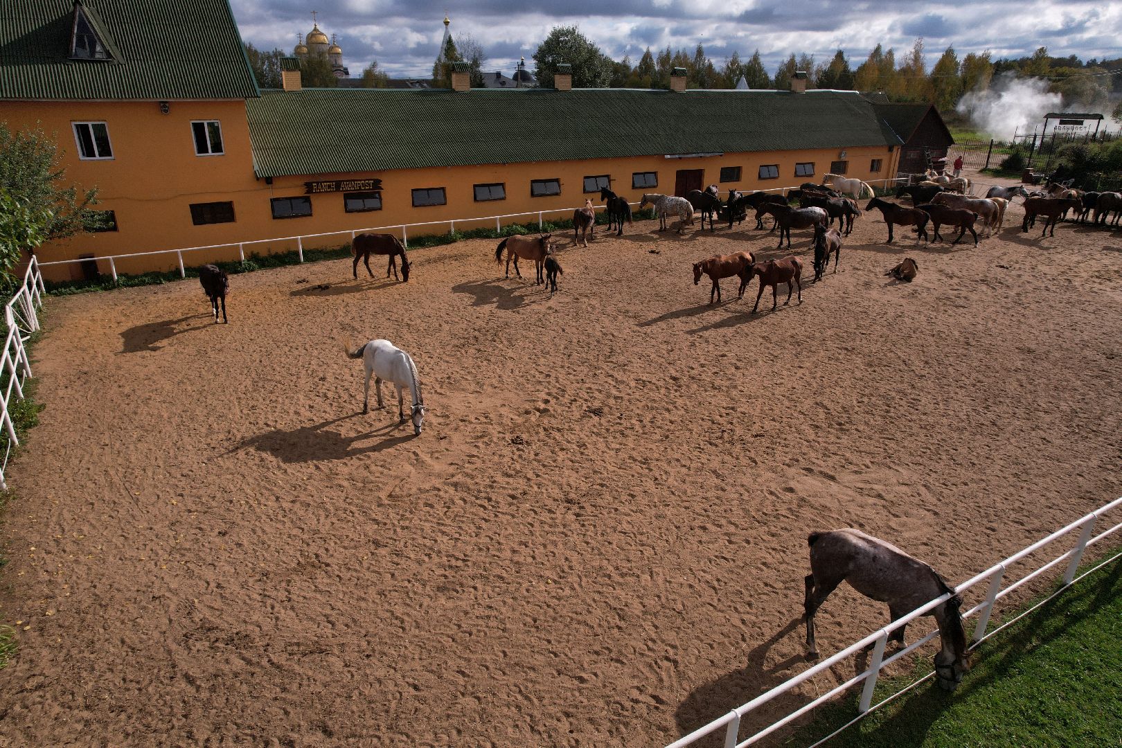 ранчо, туризм, можайск, кони,видео с коптера,