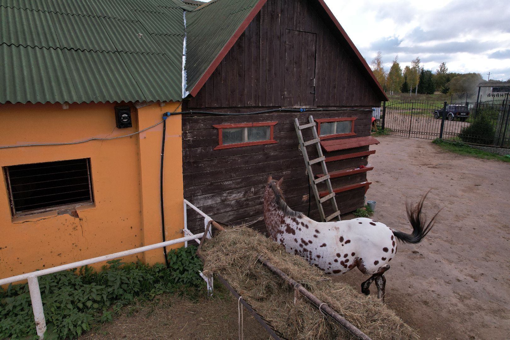 ранчо, туризм, можайск, кони,видео с коптера,