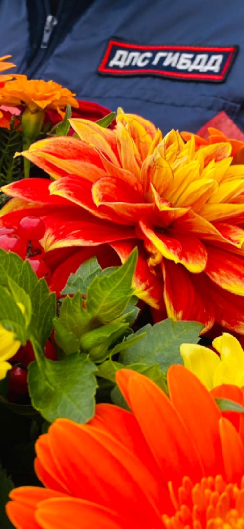 домодедово, подмосковье, день учителя, бывший учитель, цветы учителю, профессиональный праздник, ГИБДД, полиция, госавтоинспекция,пропаганда БДД,