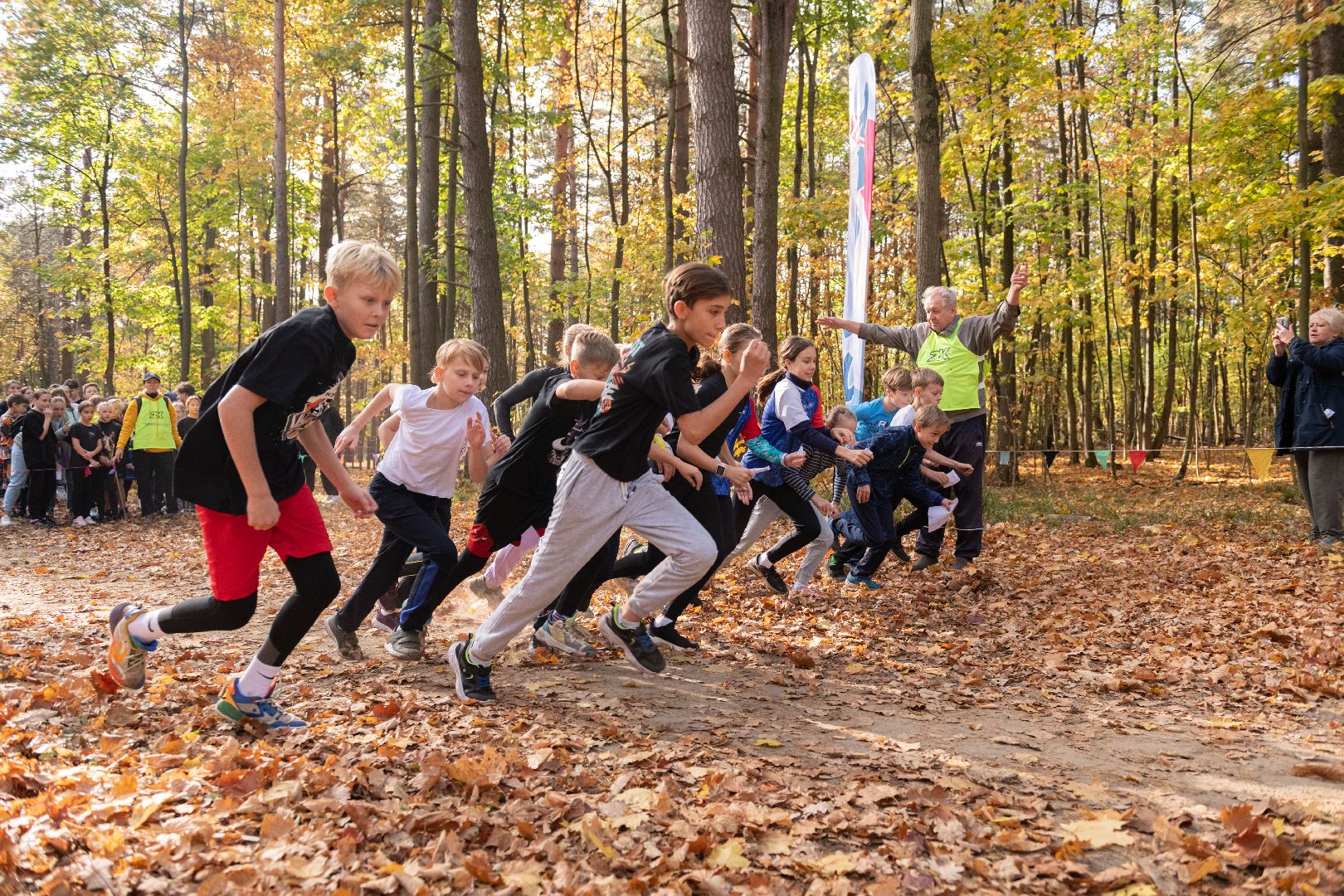 лыткарино, кросс, золотая осень, школьники, легкая атлетика,