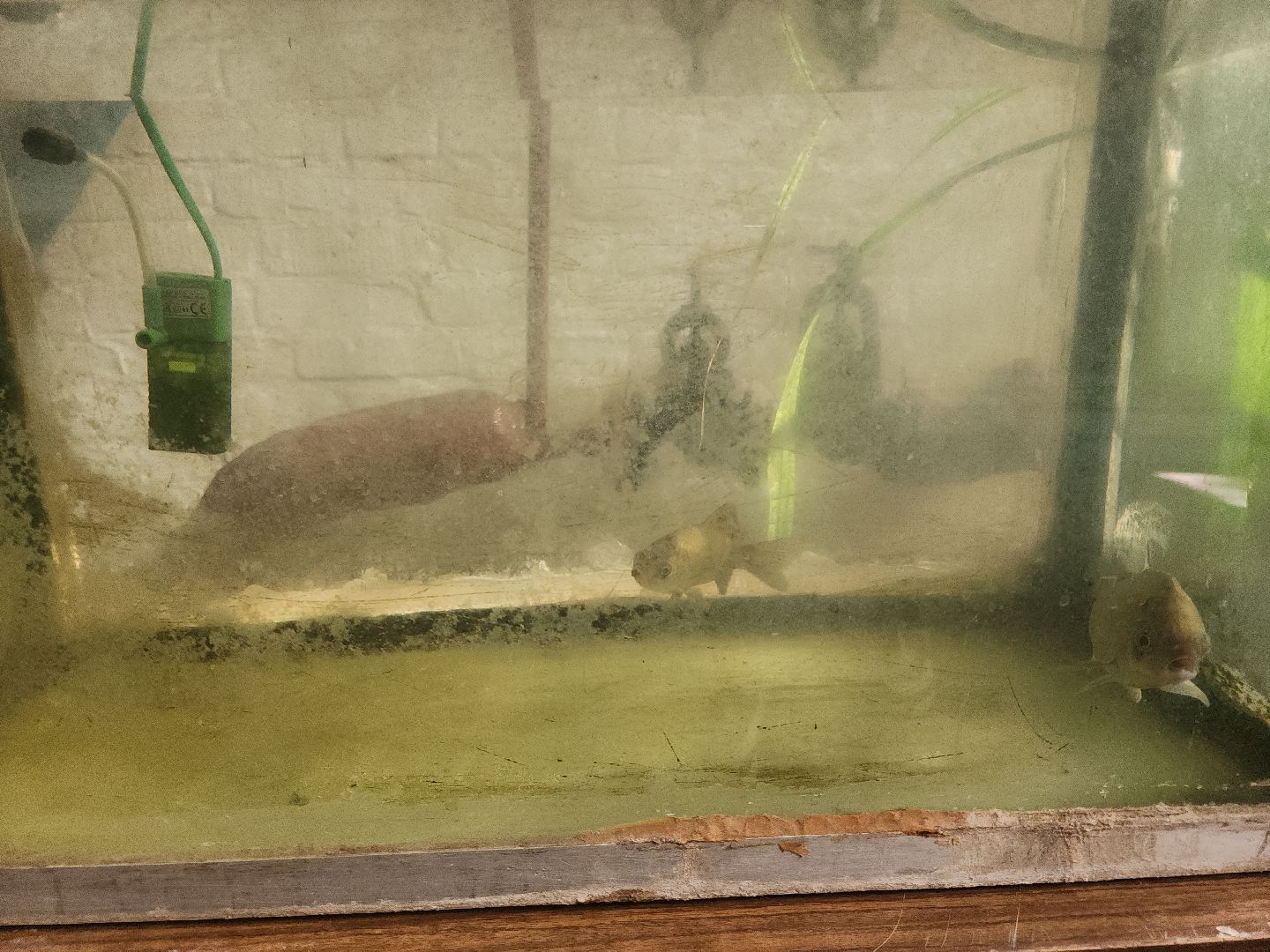 кашира, ОЗП, отопление, котельные, мкд,