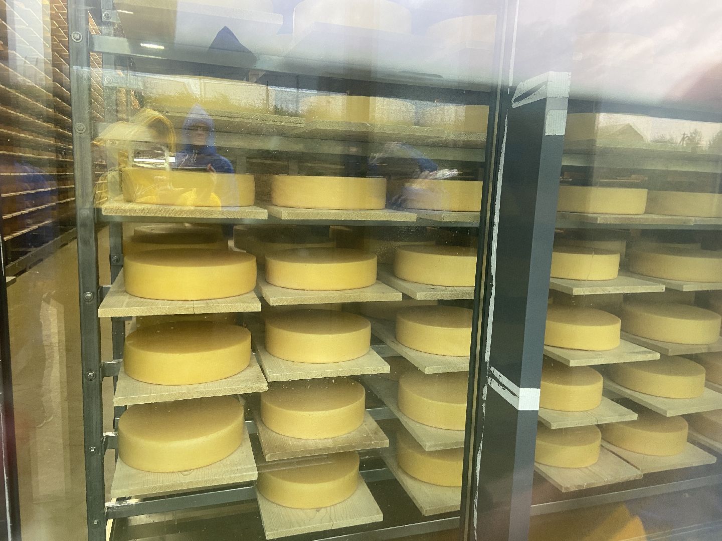 туризм, промышленный туризм, сыроварня,