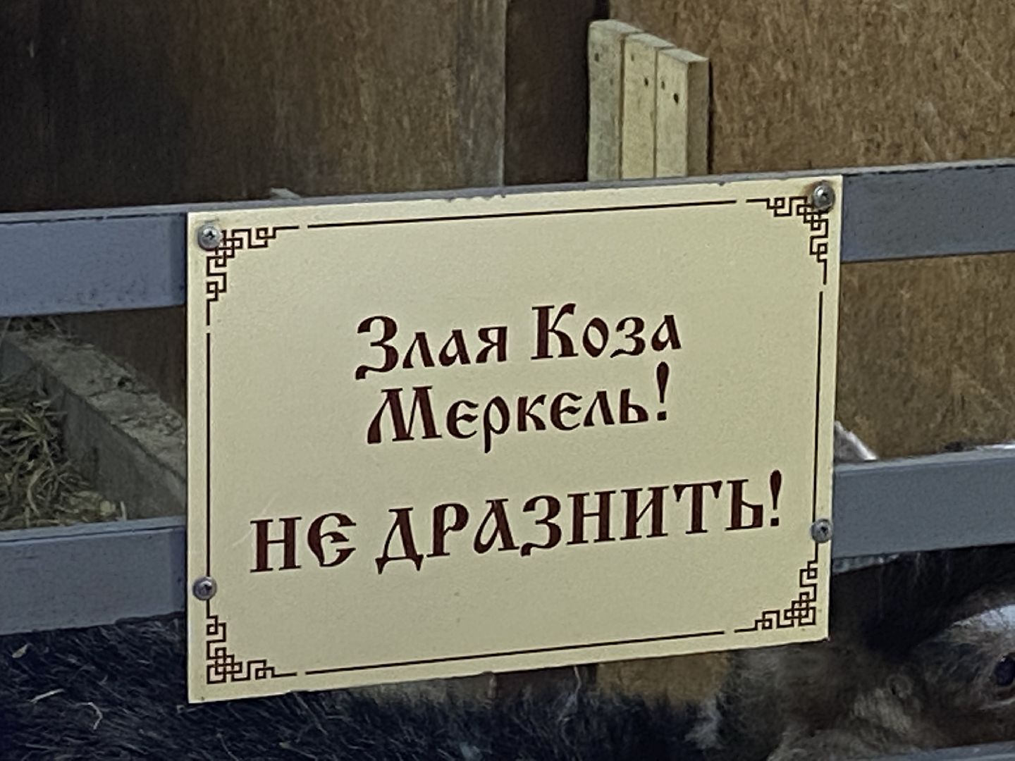 туризм, промышленный туризм, сыроварня,