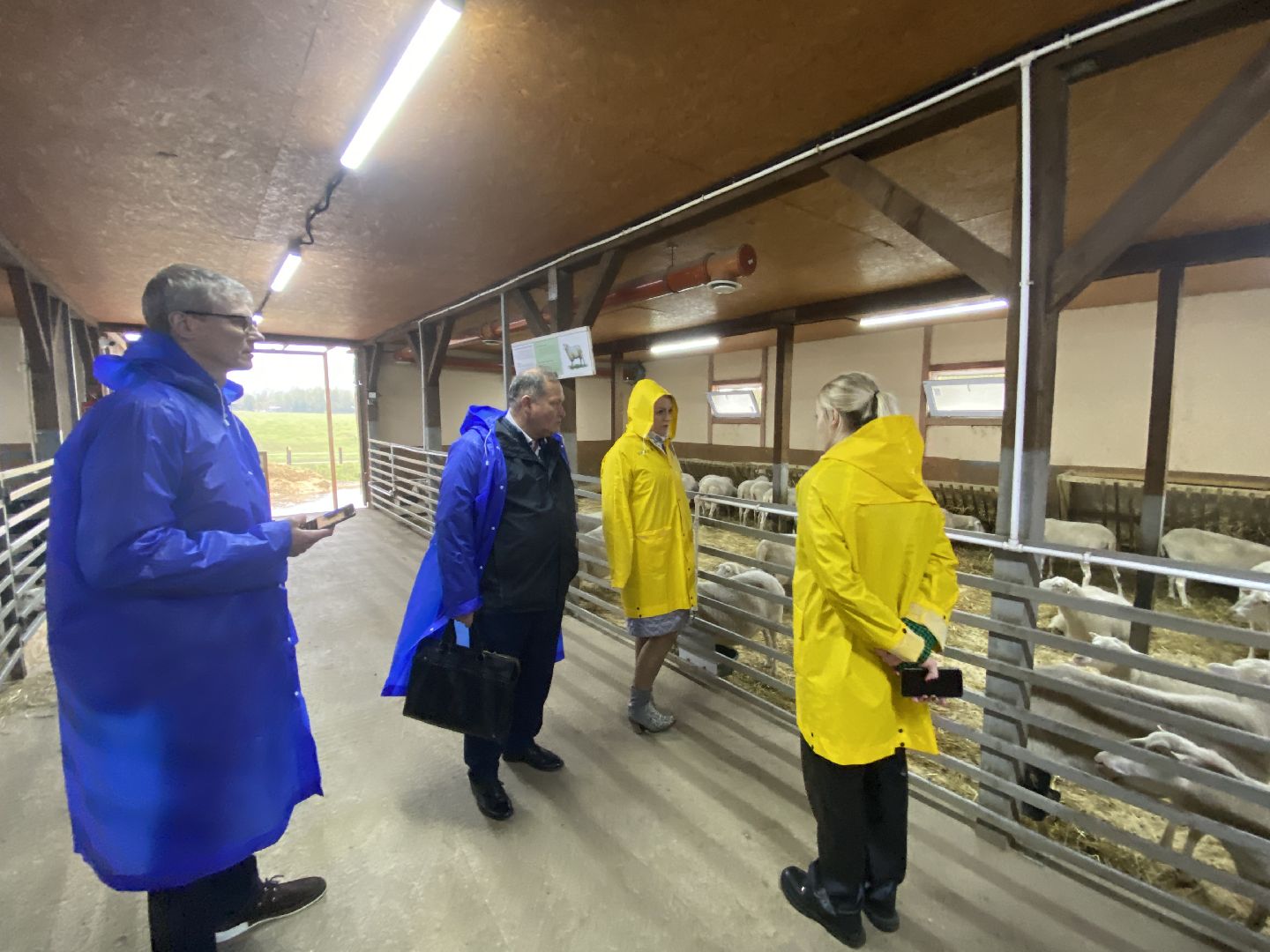 туризм, промышленный туризм, сыроварня,