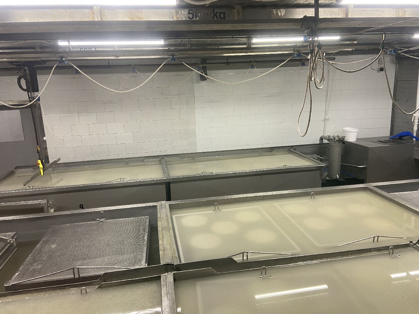 туризм, промышленный туризм, сыроварня,