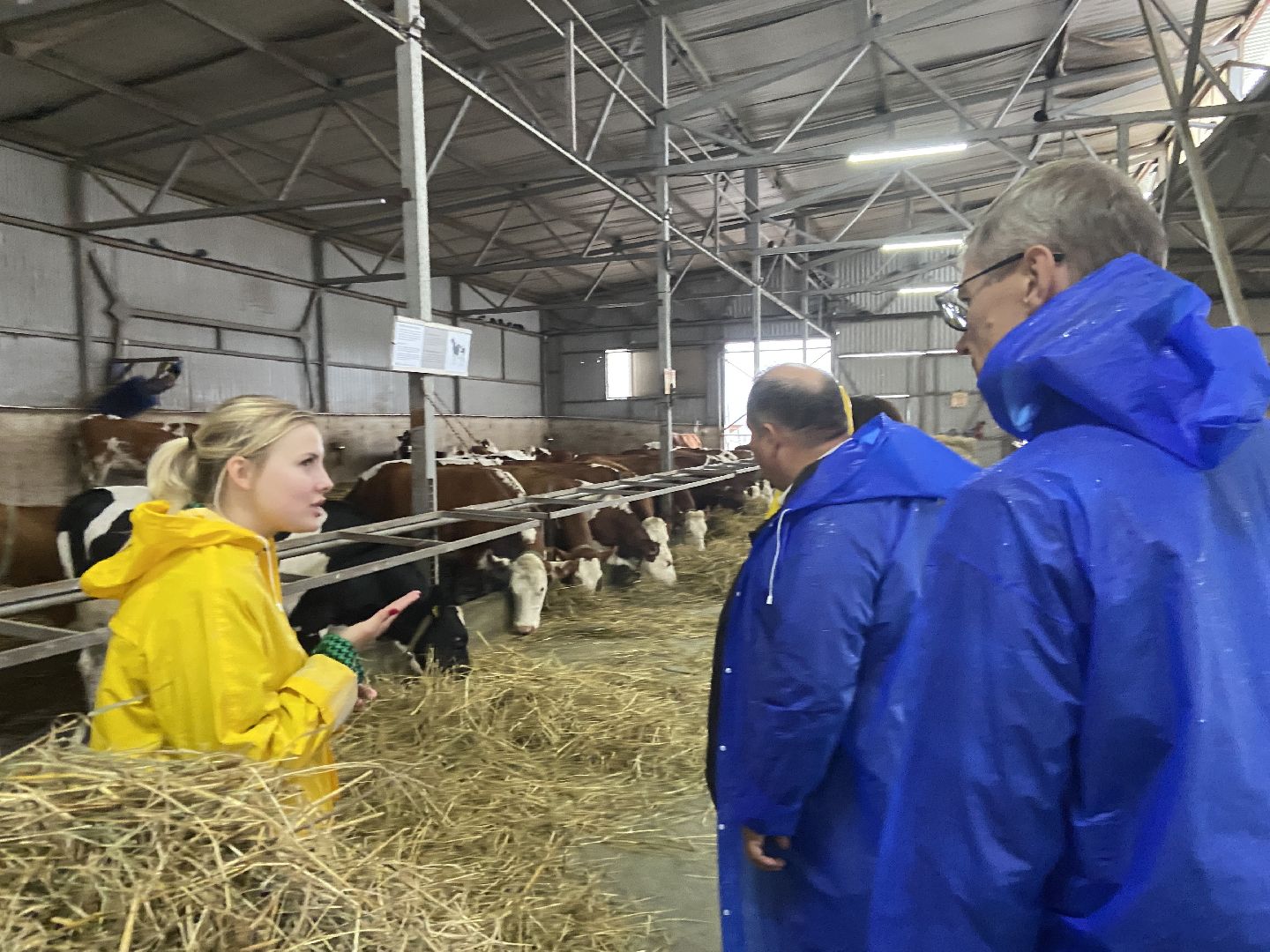 туризм, промышленный туризм, сыроварня,