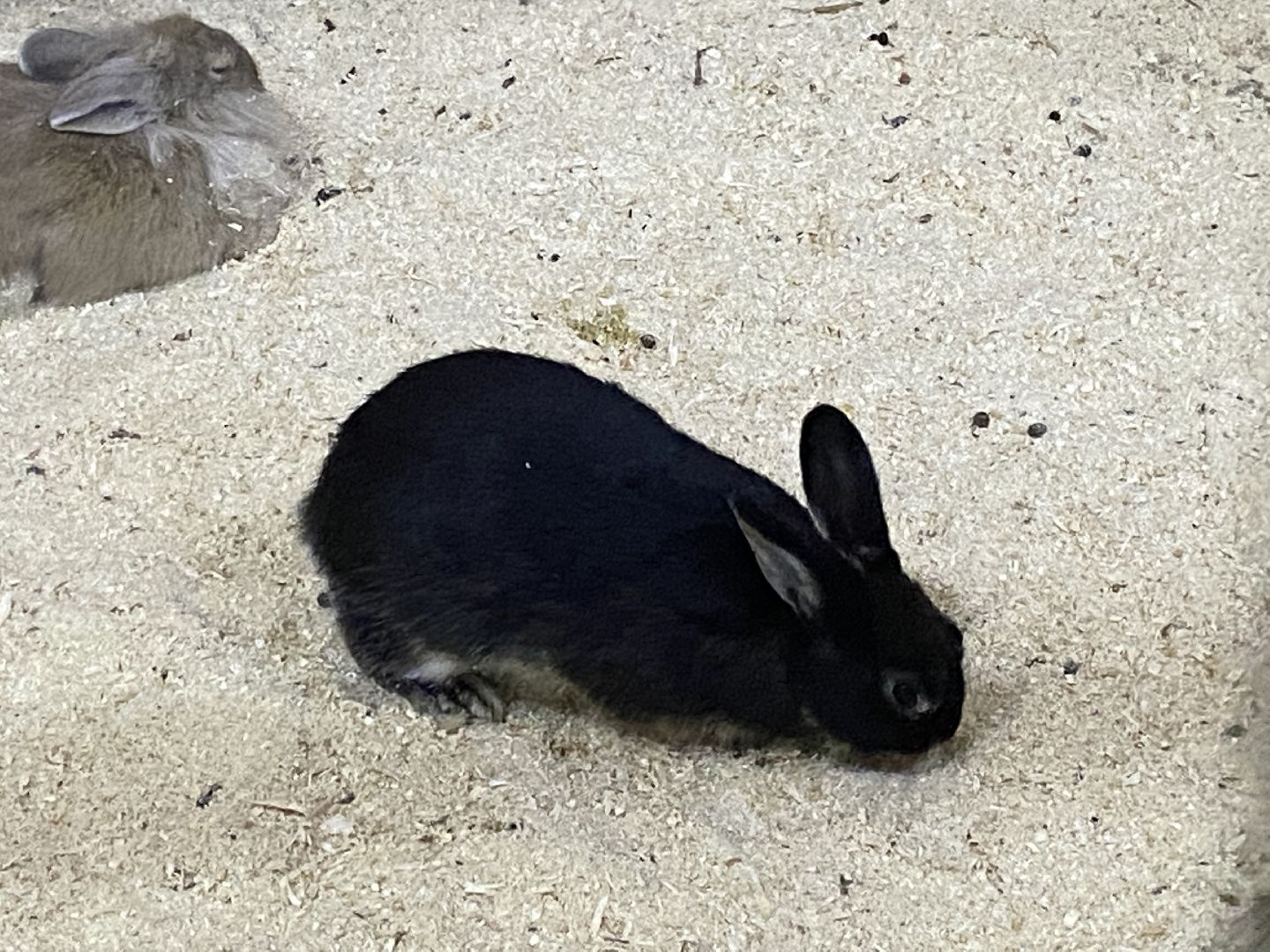 туризм, промышленный туризм, сыроварня,