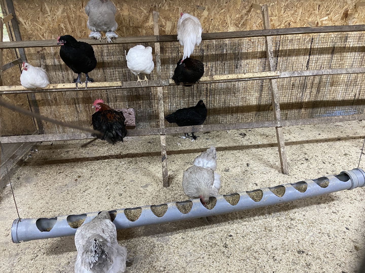 туризм, промышленный туризм, сыроварня,