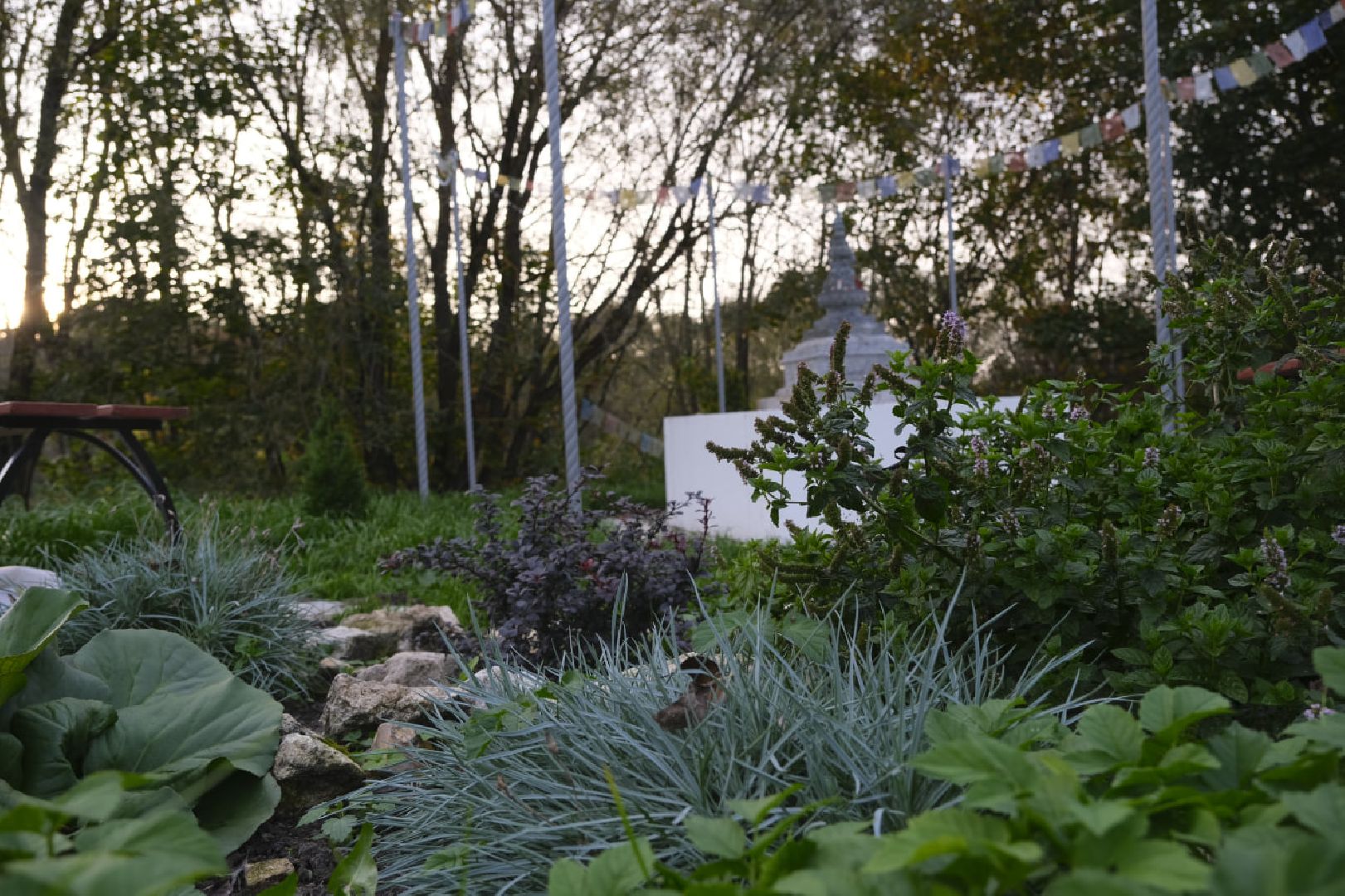 пущино, туризм в подмосковье,