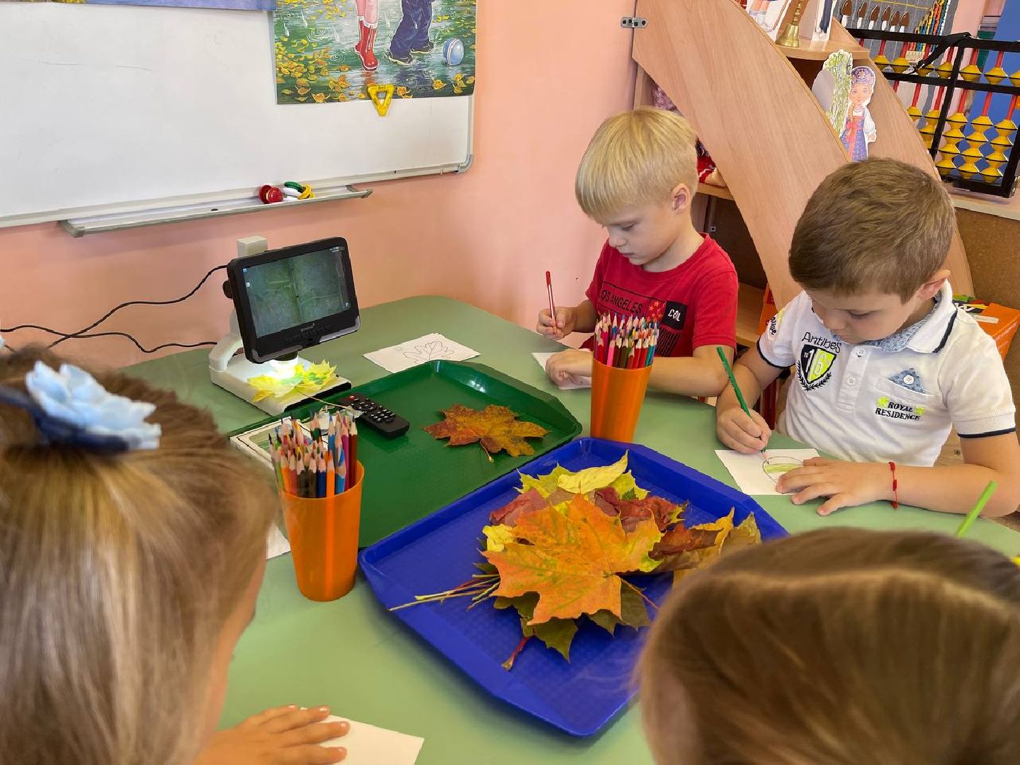 Подольск, образование подмосковья, предшкола, первый класс,