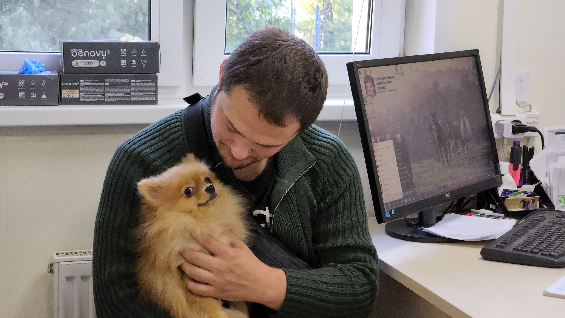 Одинцово, ветеринария, безнадзорные животные, Собаки, Кошки, Крысы, Белки, Бешенство, Столбняк,