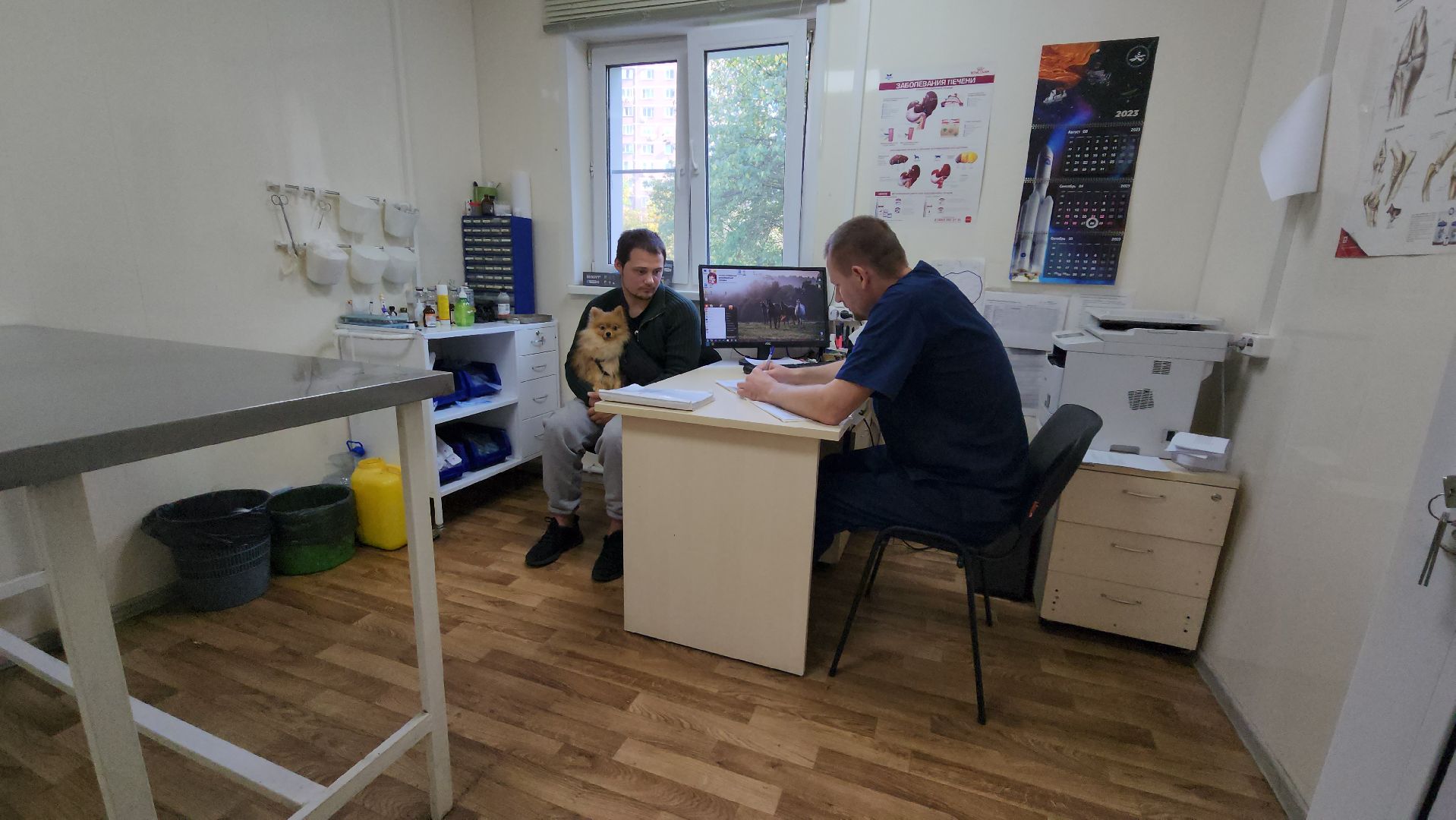 Одинцово, ветеринария, безнадзорные животные, Собаки, Кошки, Крысы, Белки, Бешенство, Столбняк,