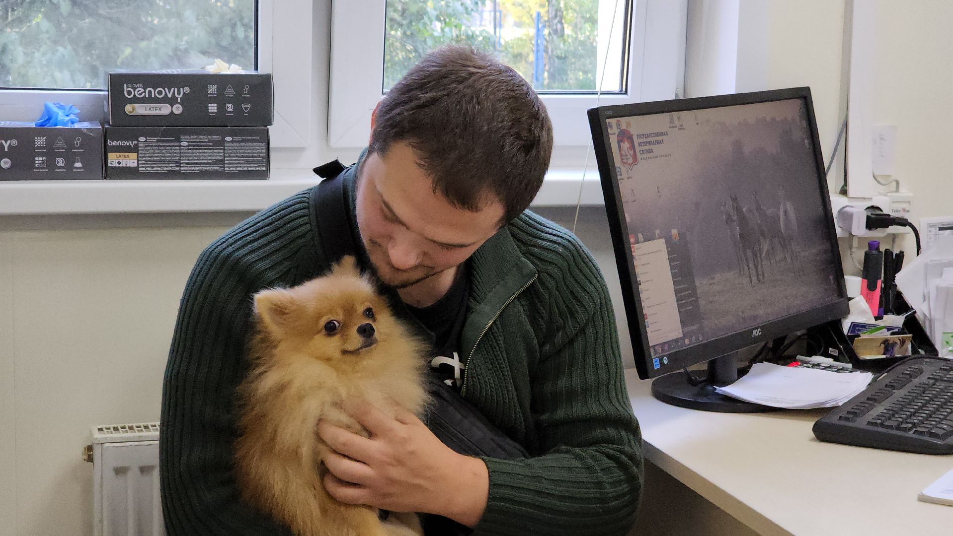 Одинцово, ветеринария, безнадзорные животные, Собаки, Кошки, Крысы, Белки, Бешенство, Столбняк,