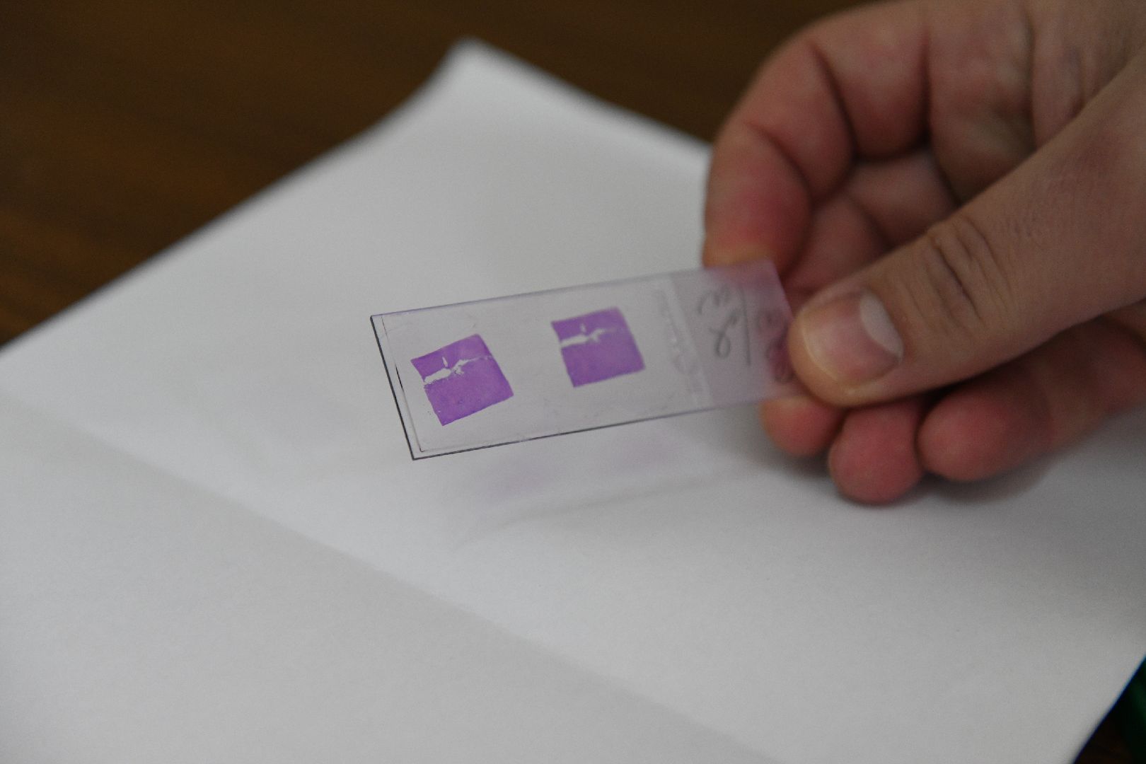 лыткарино, медицина, оборудование, новое,