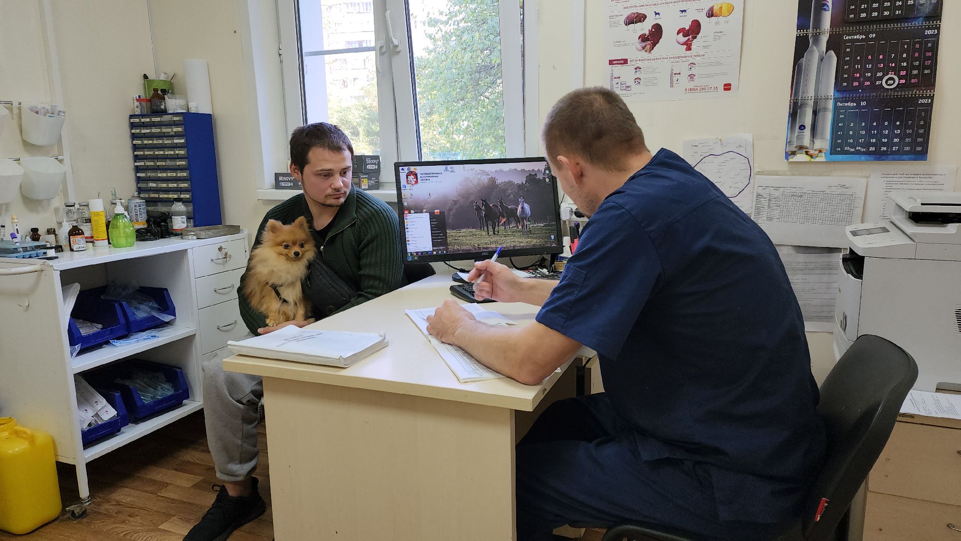 Одинцово, Ликино, Вич кошек, Кошки, ветеринария, Болезнь,