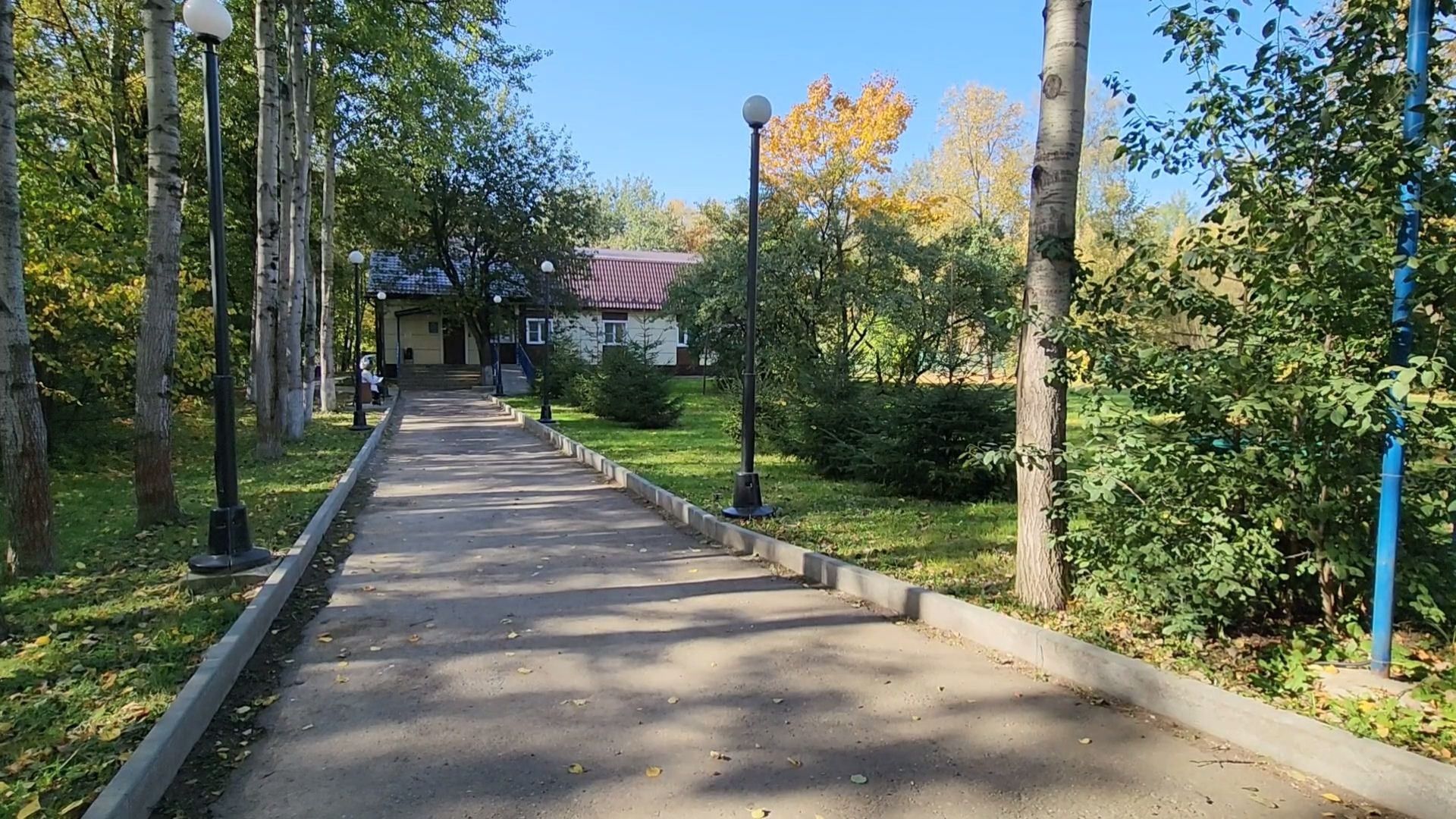 Одинцово, Ликино, Вич кошек, Кошки, ветеринария, Болезнь,