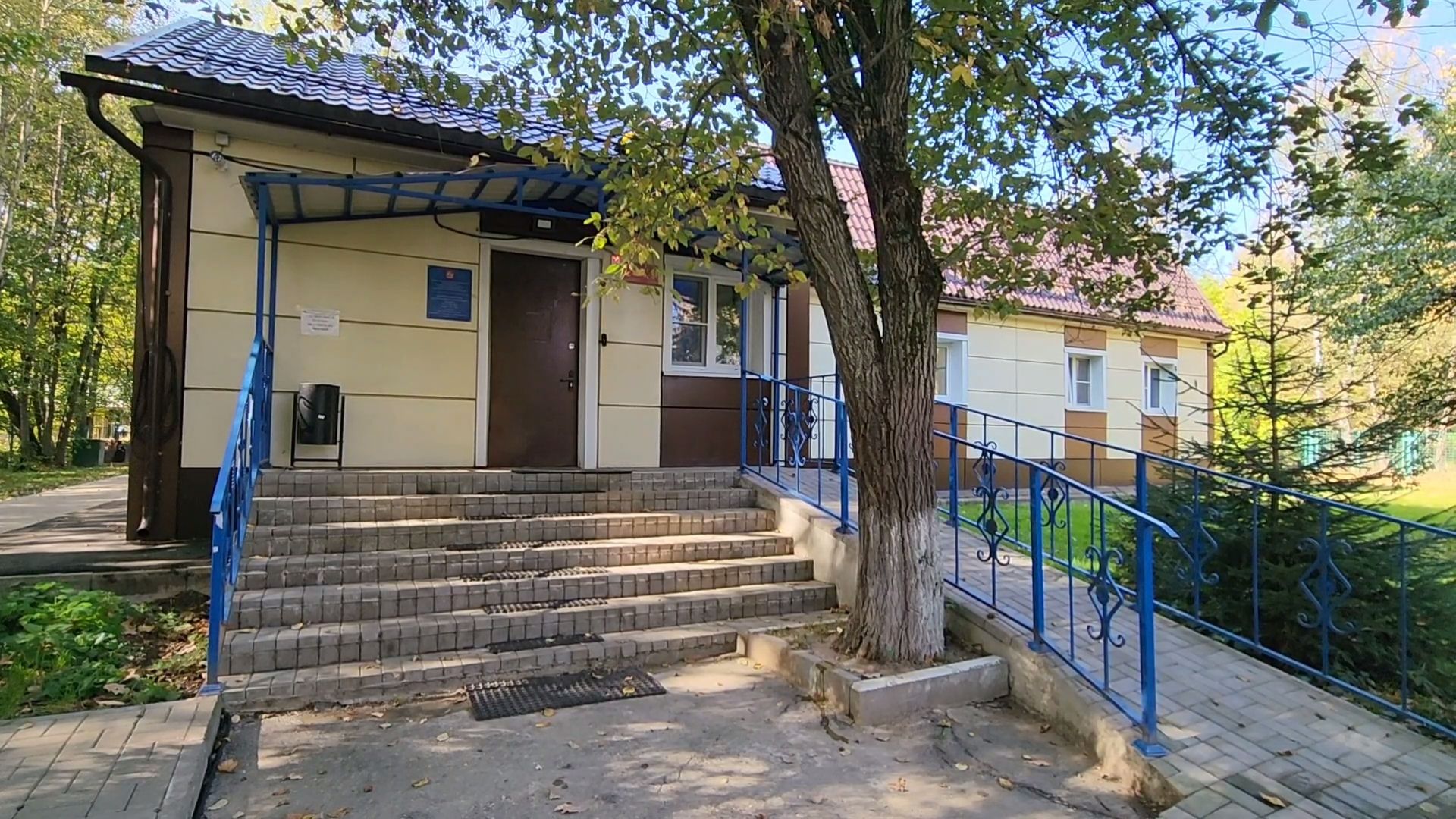 Одинцово, Ликино, Вич кошек, Кошки, ветеринария, Болезнь,