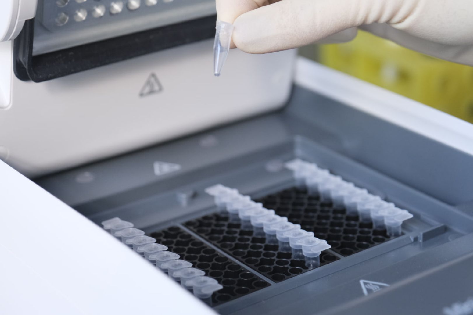 пущино, медицина, ученые,