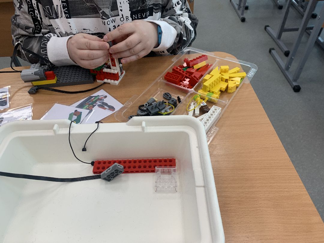 образование