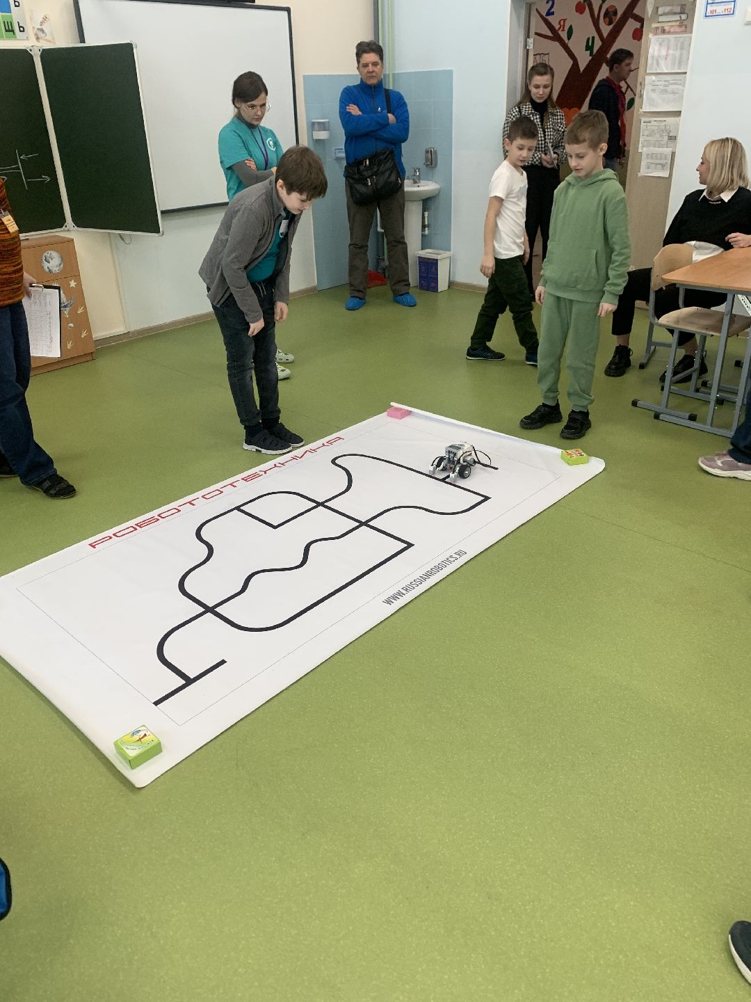 образование