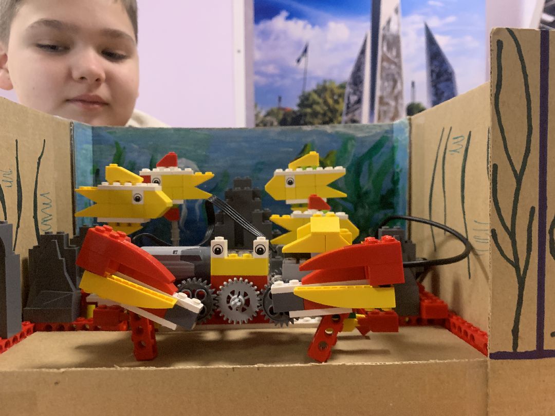 образование