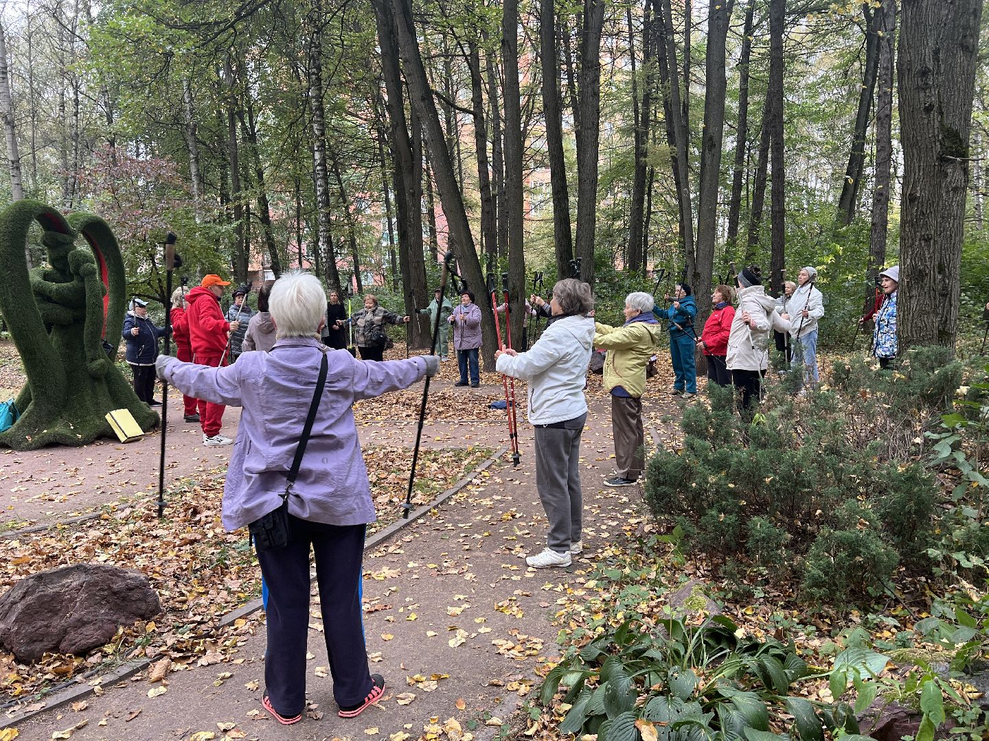 химки, активное долголетие, скандинавская ходьба, пожилые люди,