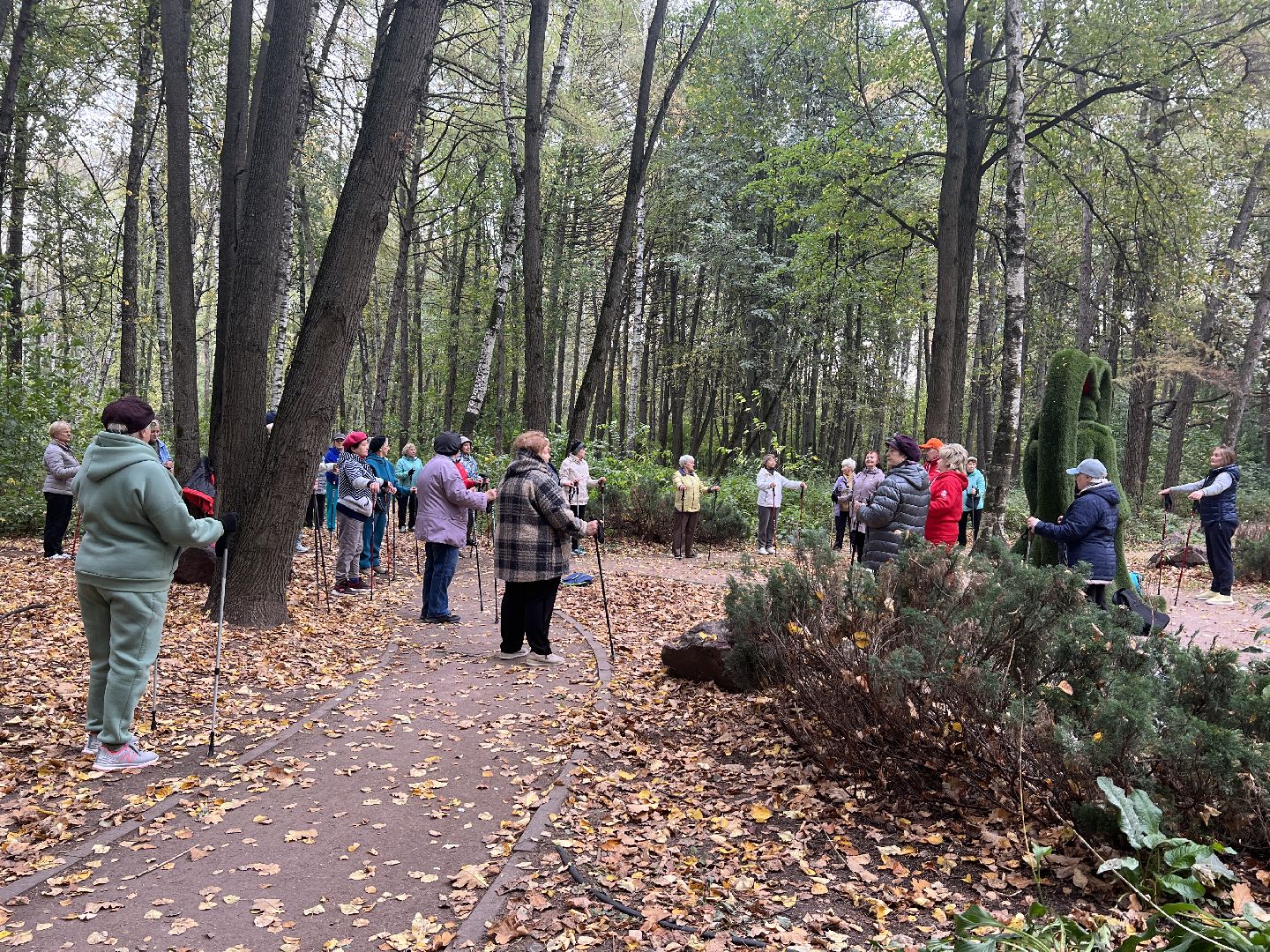химки, активное долголетие, скандинавская ходьба, пожилые люди,