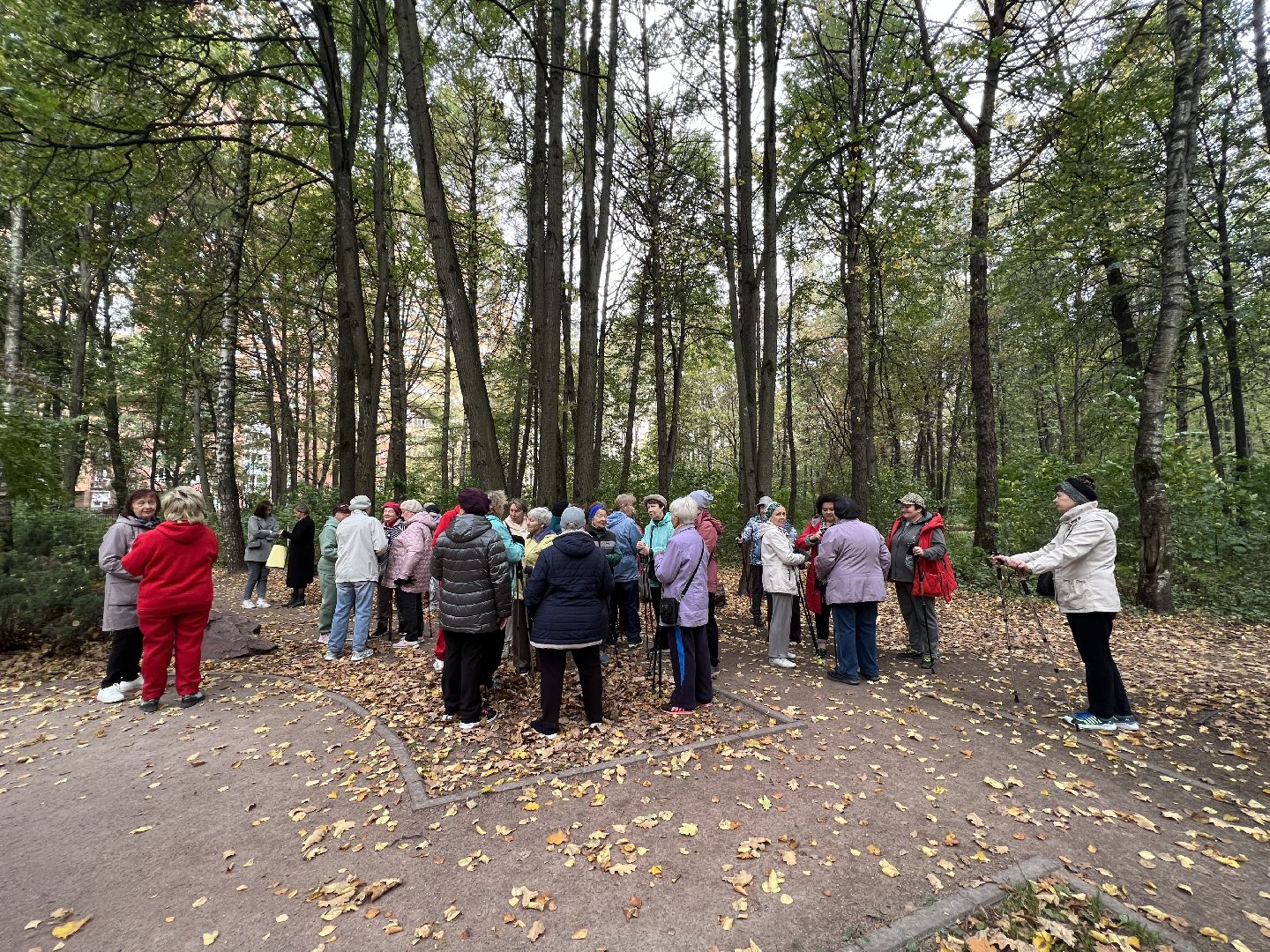 химки, активное долголетие, скандинавская ходьба, пожилые люди,