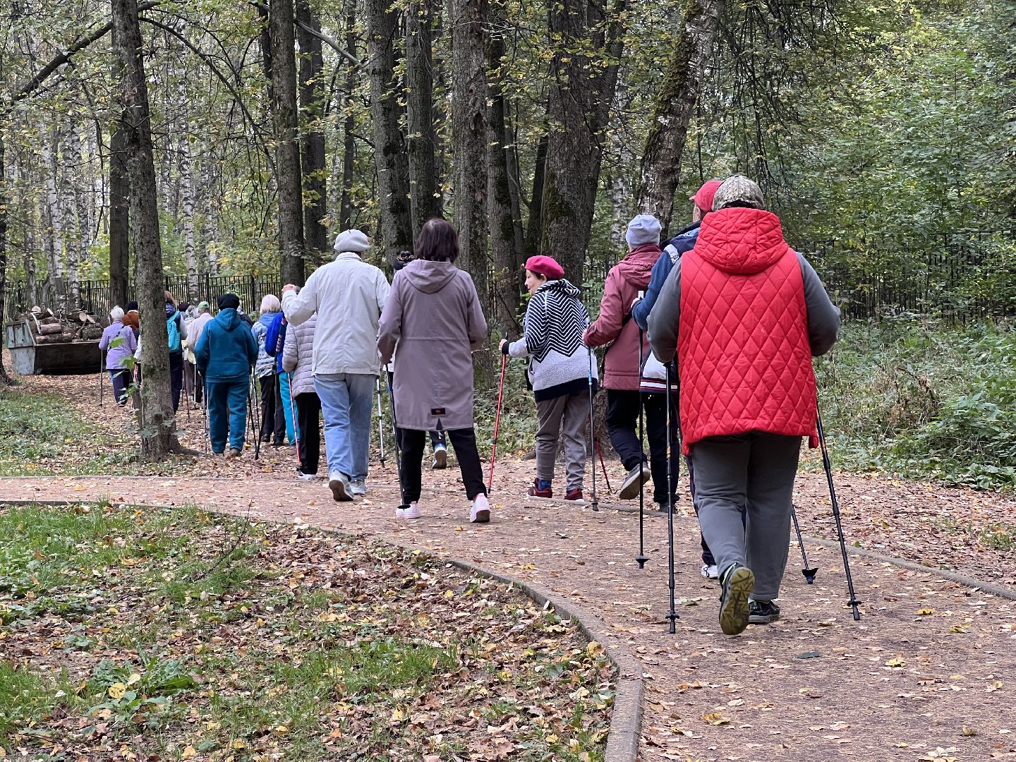 химки, активное долголетие, скандинавская ходьба, пожилые люди,