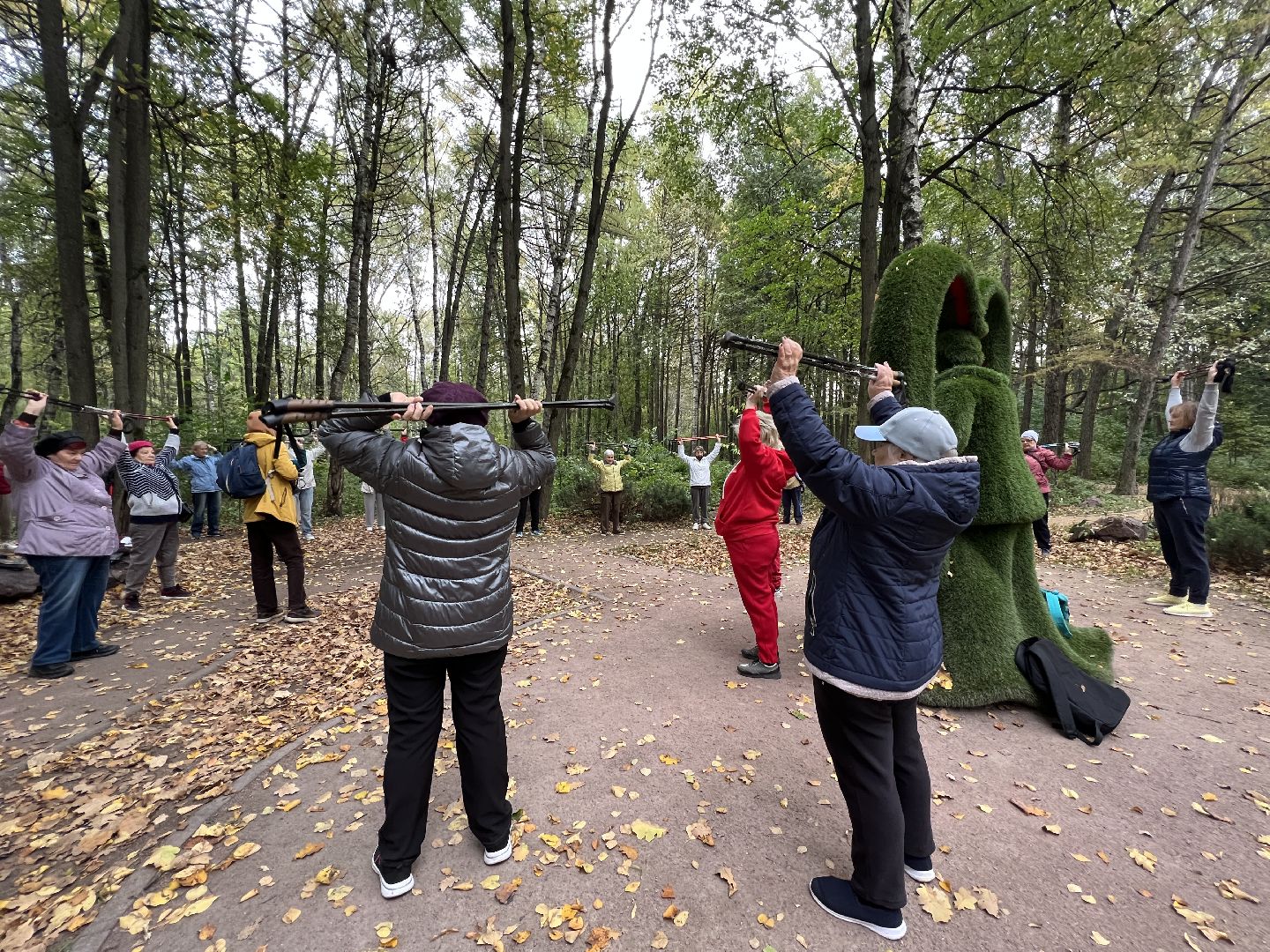 химки, активное долголетие, скандинавская ходьба, пожилые люди,