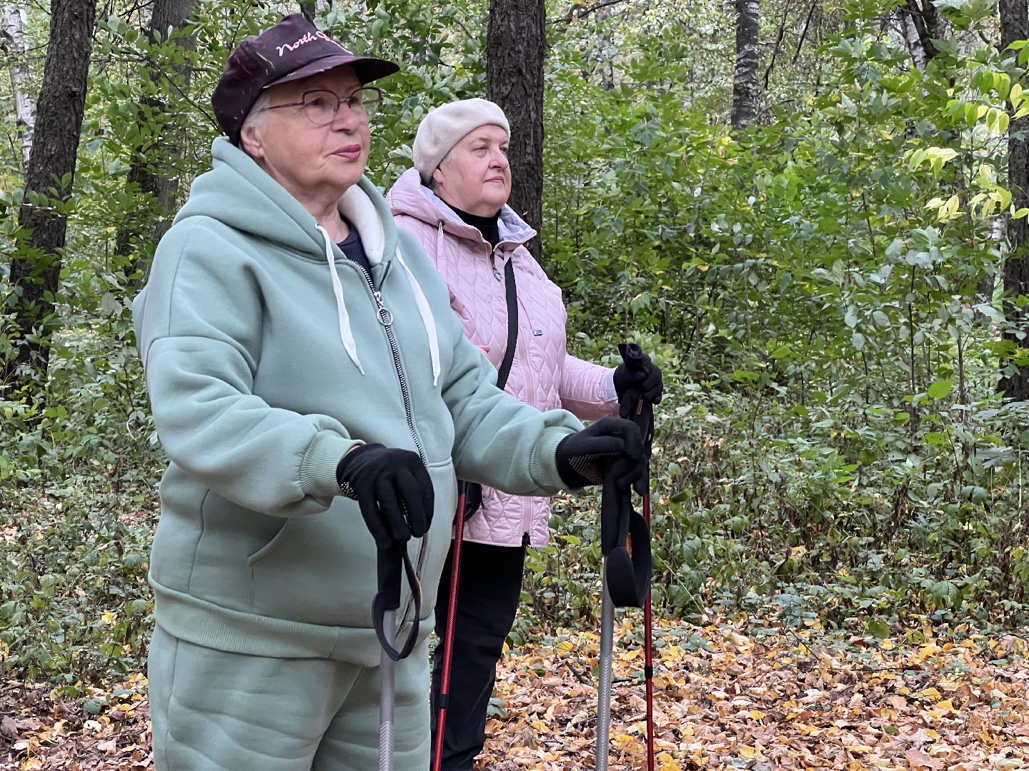 химки, активное долголетие, скандинавская ходьба, пожилые люди,