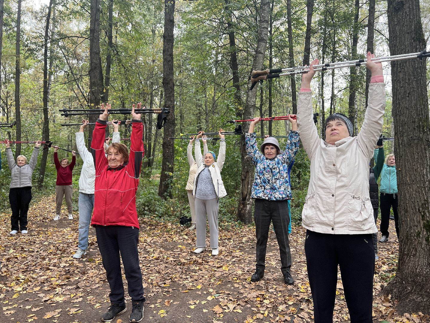 химки, активное долголетие, скандинавская ходьба, пожилые люди,