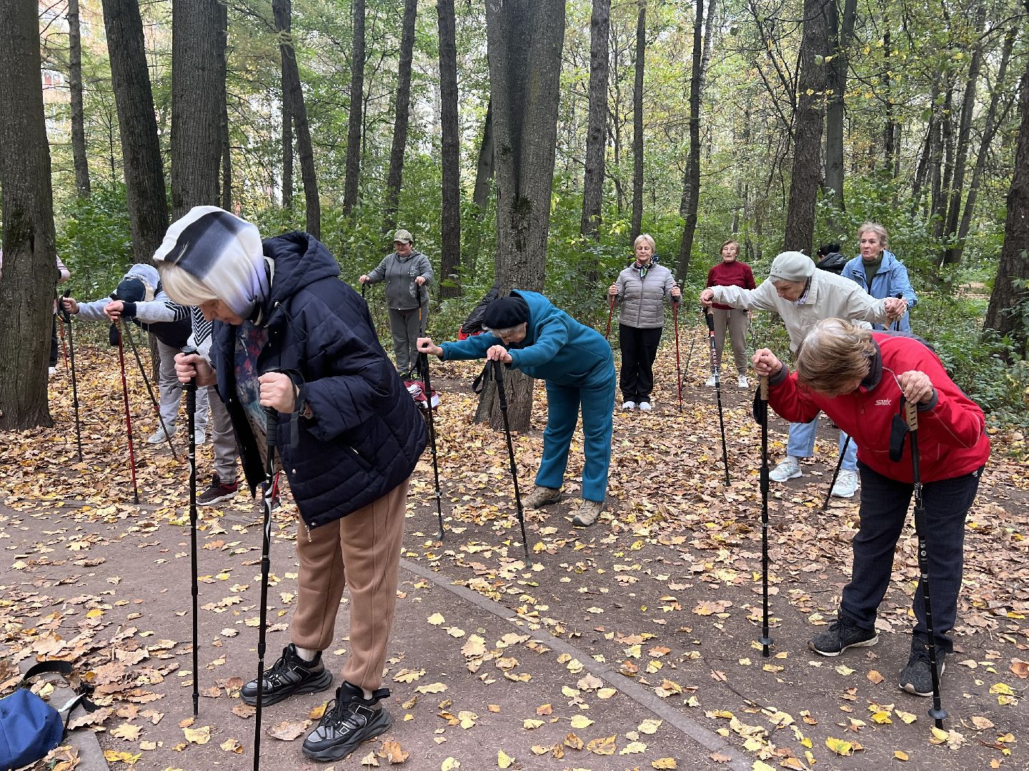 химки, активное долголетие, скандинавская ходьба, пожилые люди,