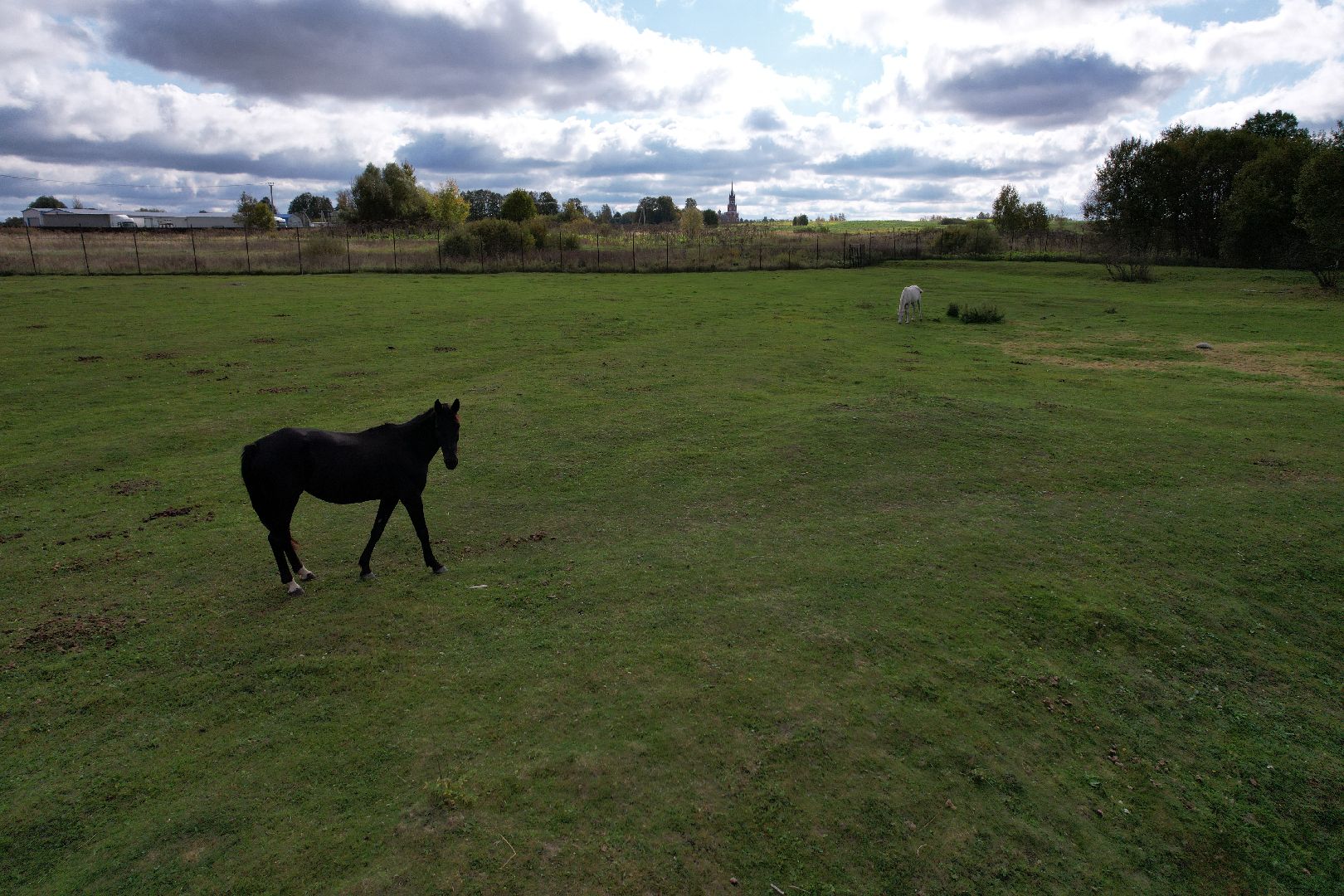лошади, туризм, можайск,видео с коптера,
