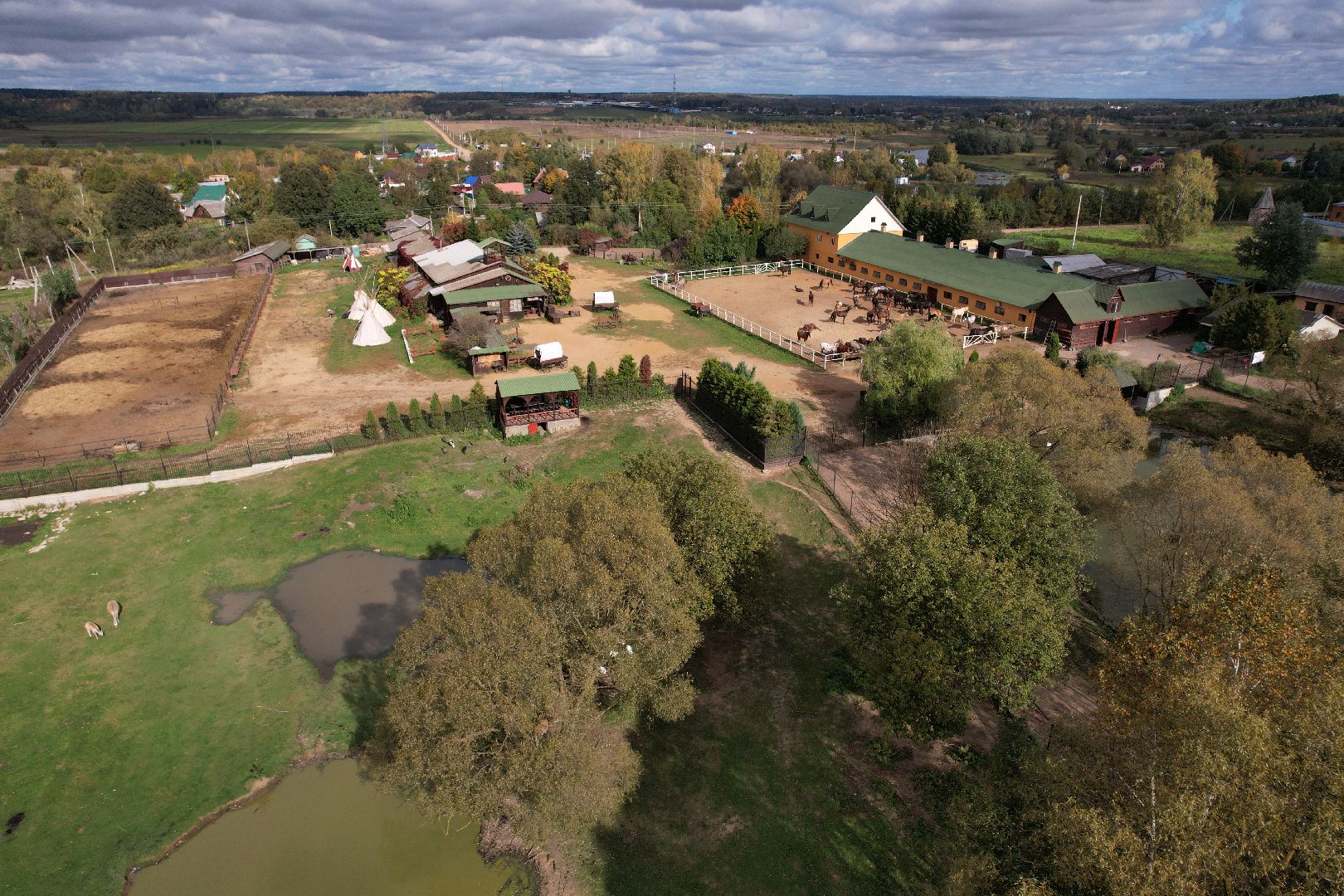 лошади, туризм, можайск,видео с коптера,