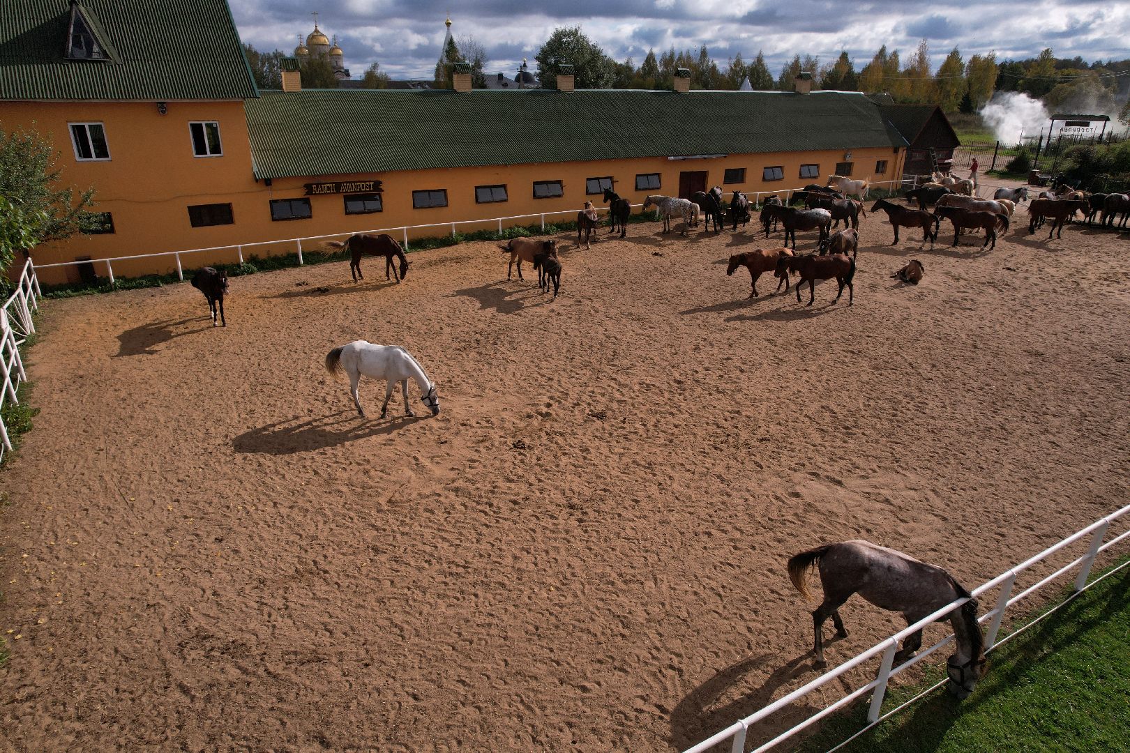 лошади, туризм, можайск,видео с коптера,