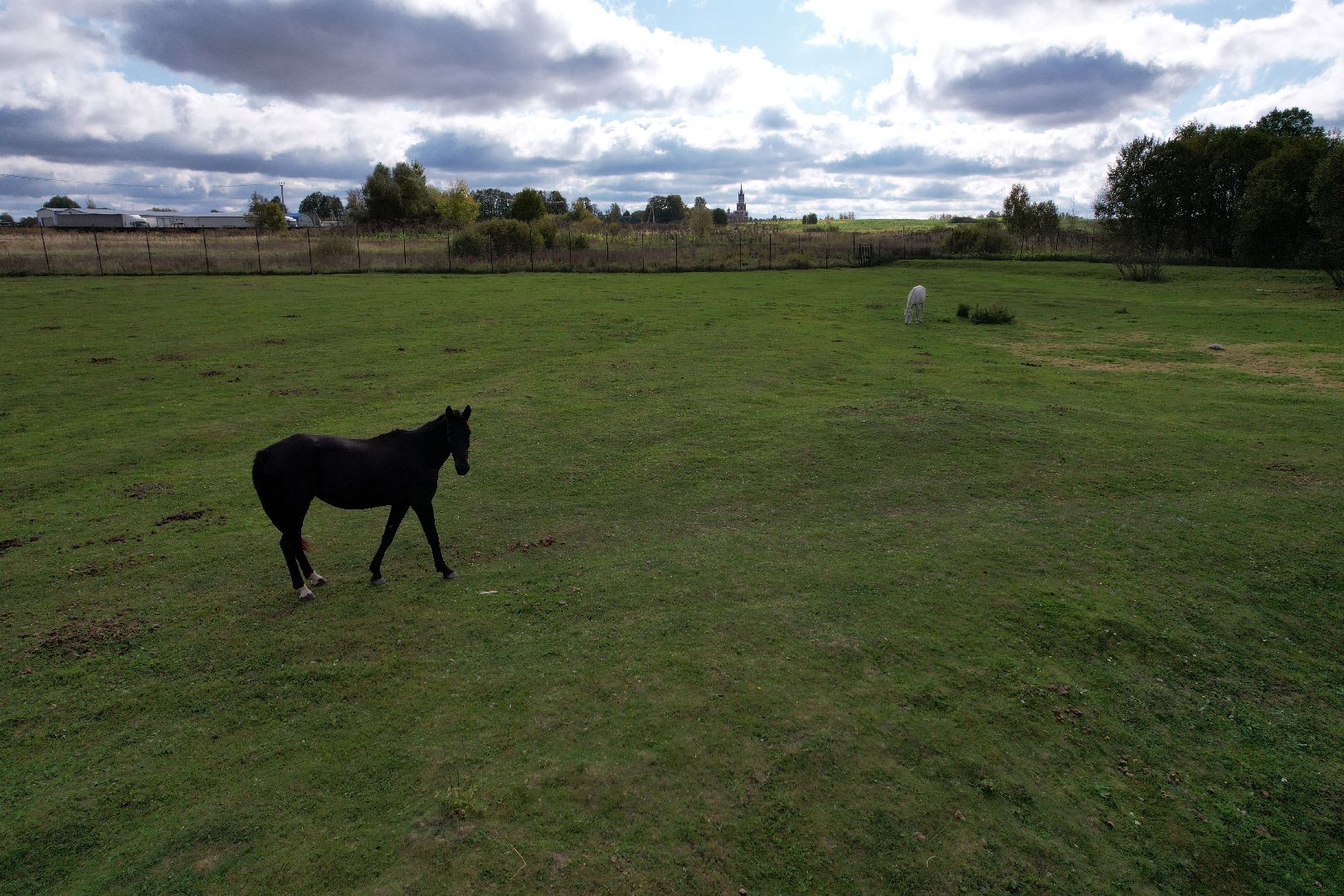 лошади, туризм, можайск,видео с коптера,
