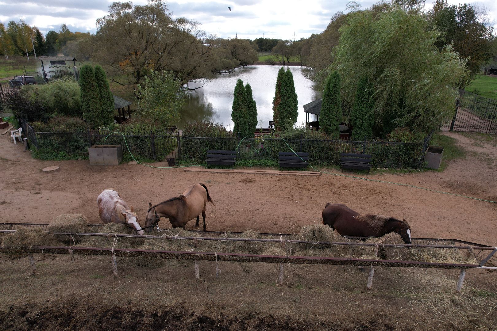 лошади, туризм, можайск,видео с коптера,