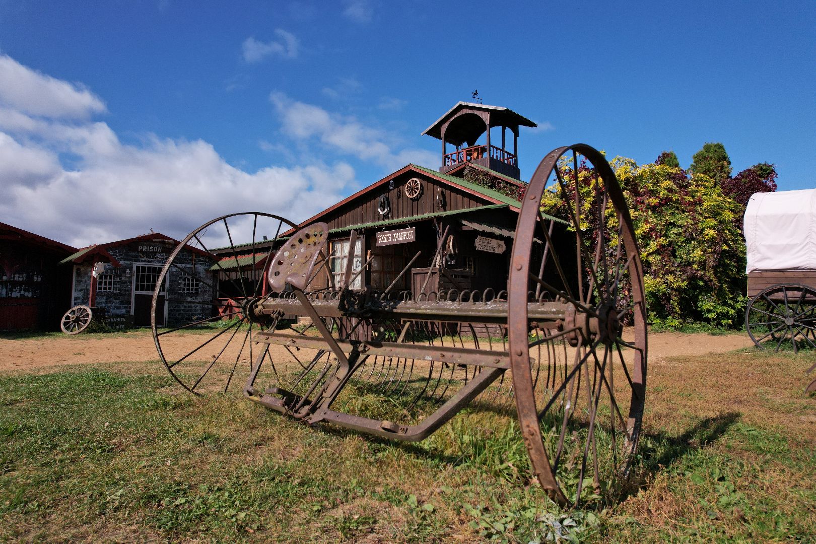 лошади, туризм, можайск,видео с коптера,