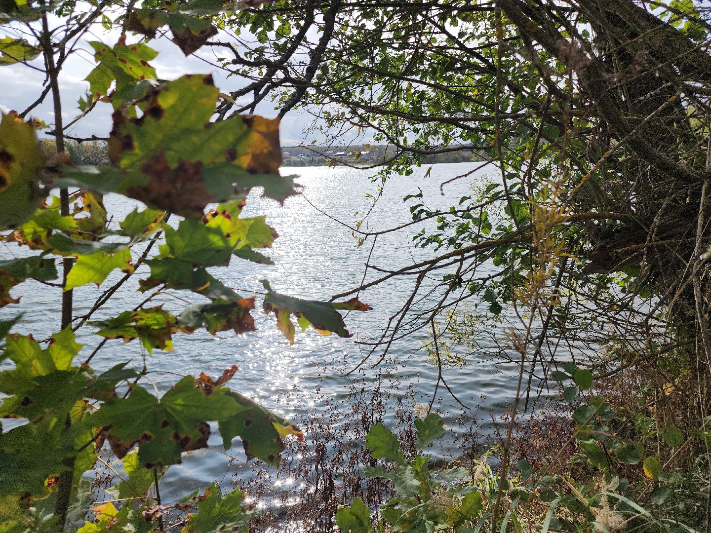 река Злодейка, плотина, Домодедово,