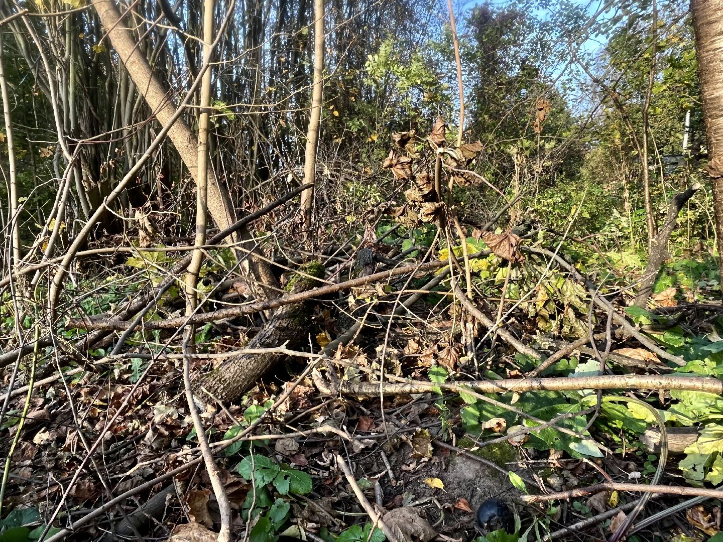 Наро-Фоминск, история Подмосковья, Часовня, туризм в подмосковье, таинственные истории,