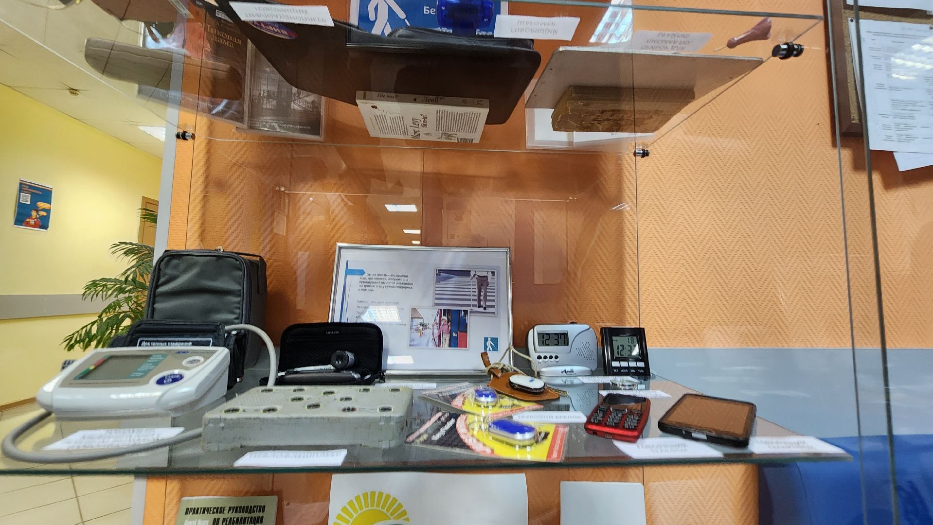 долгопрудный, слепые, гаджеты для слепых, День белой трости,