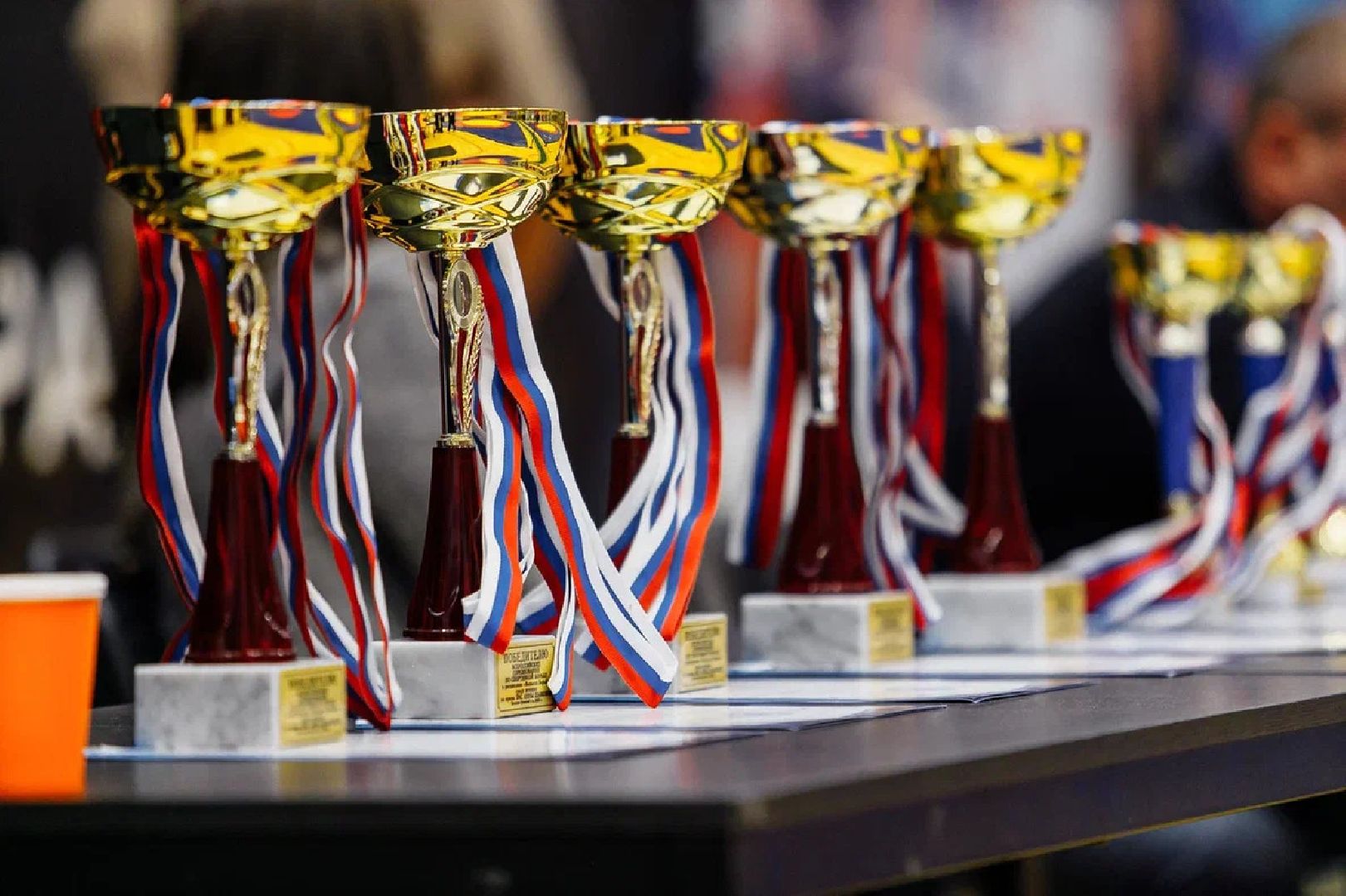 спорт, вольная борьба, турнир, Шамова, Орехово-Зуево,